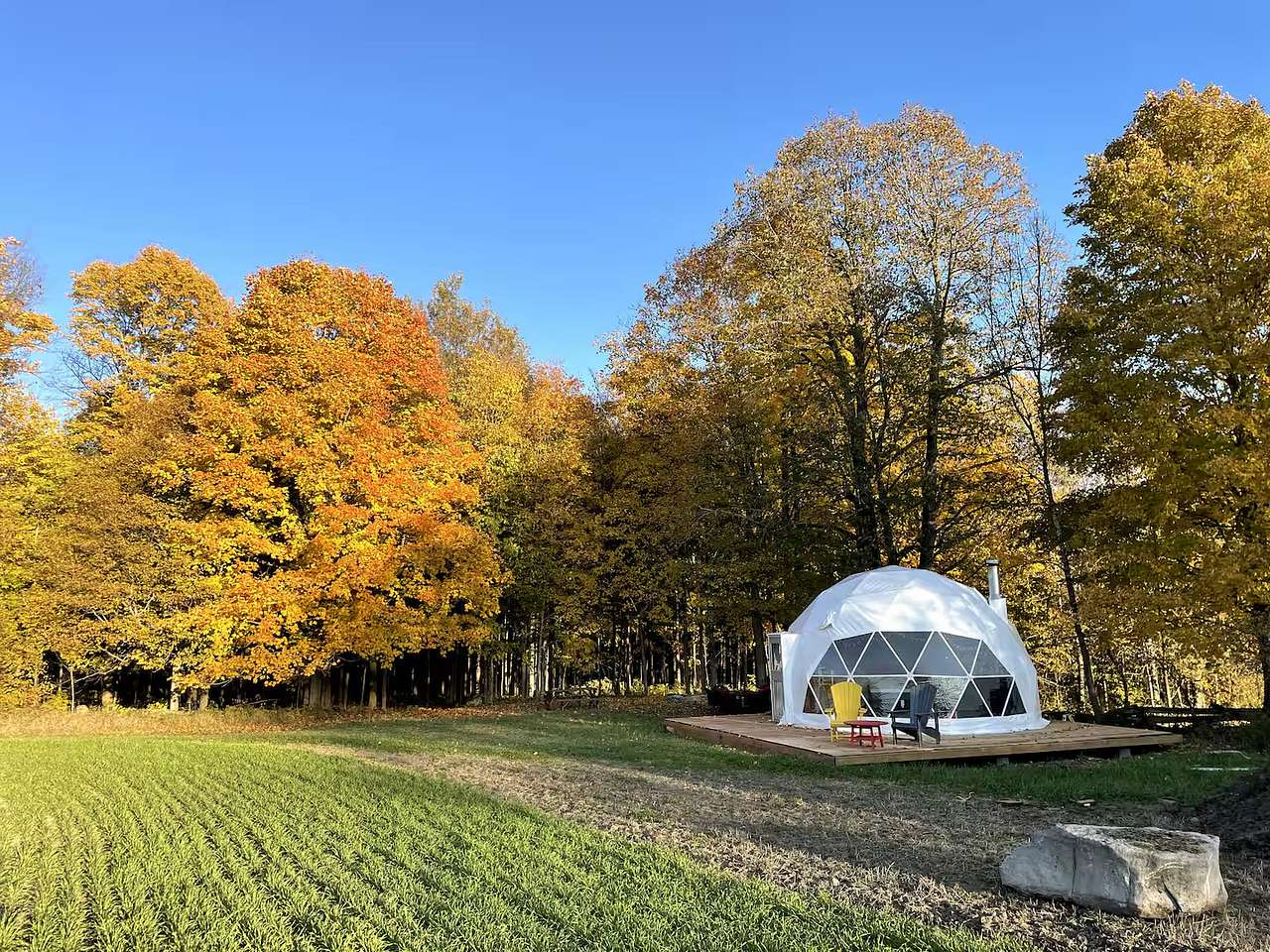 Sugar Bush Bubble