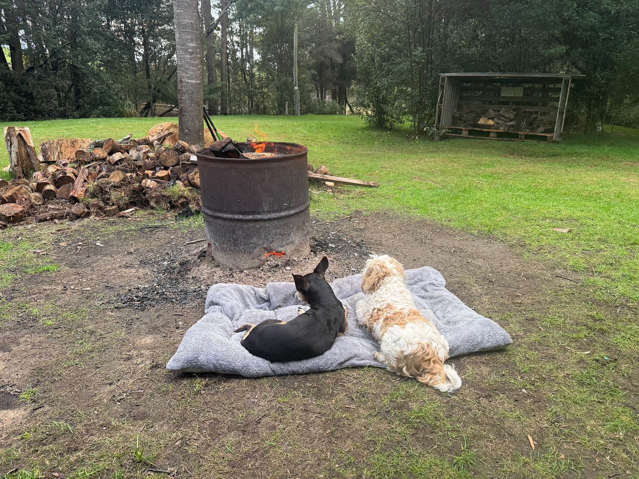 Dragon River Campground & Sauna