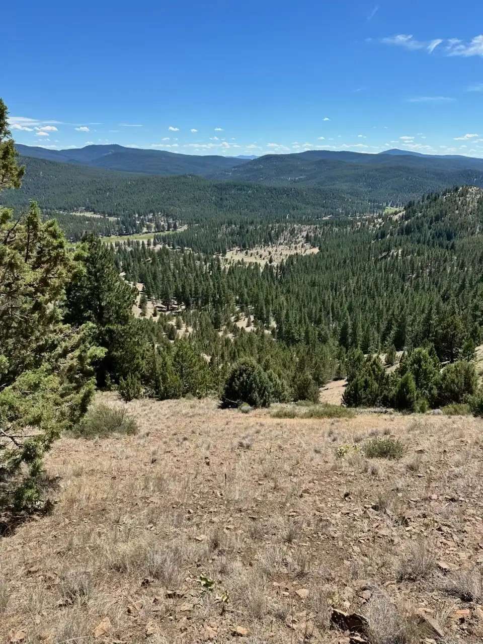 Horseman's Haven Ranch & Mtn Camp