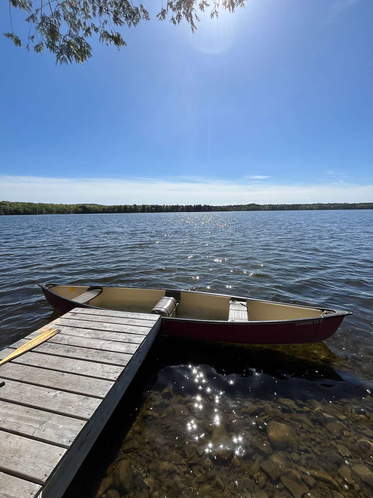 Private dock and canoe to use at cabin ! 