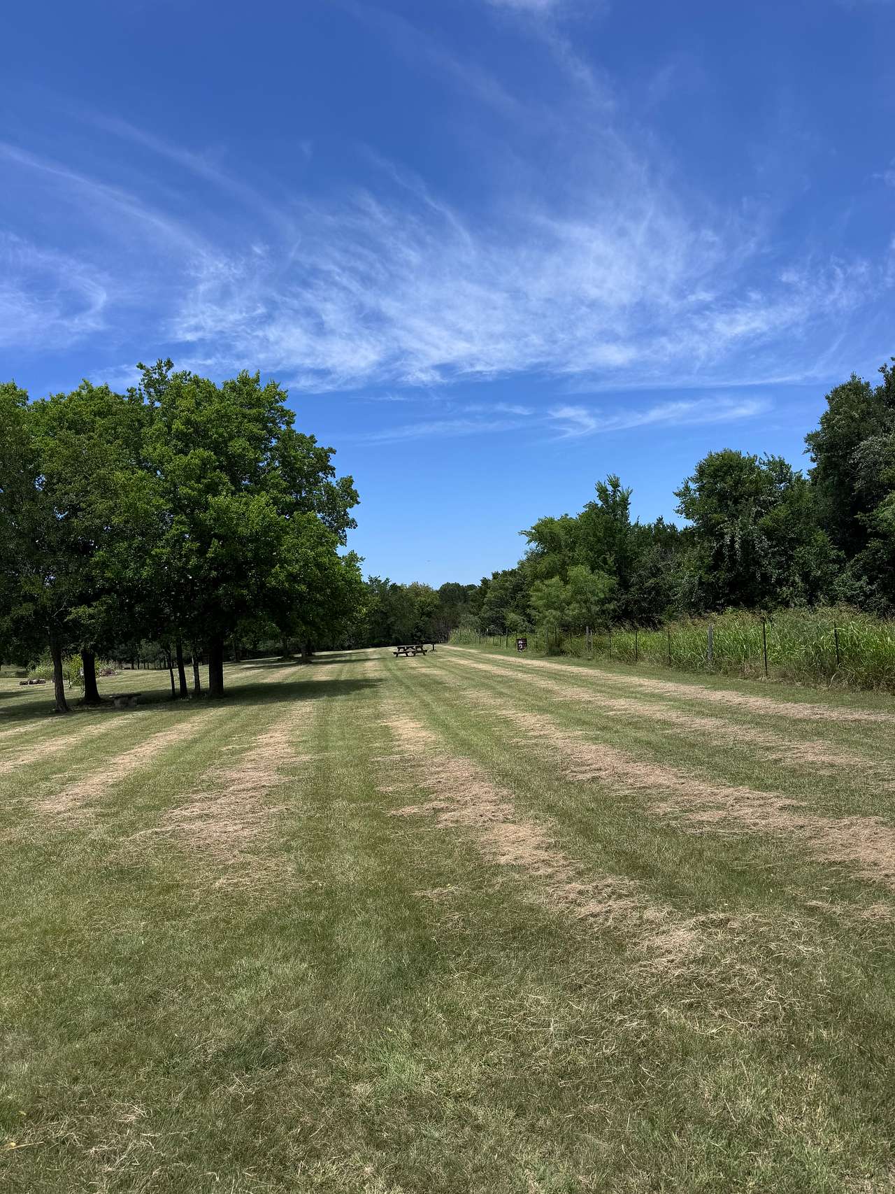 Lots of space at Site 2.