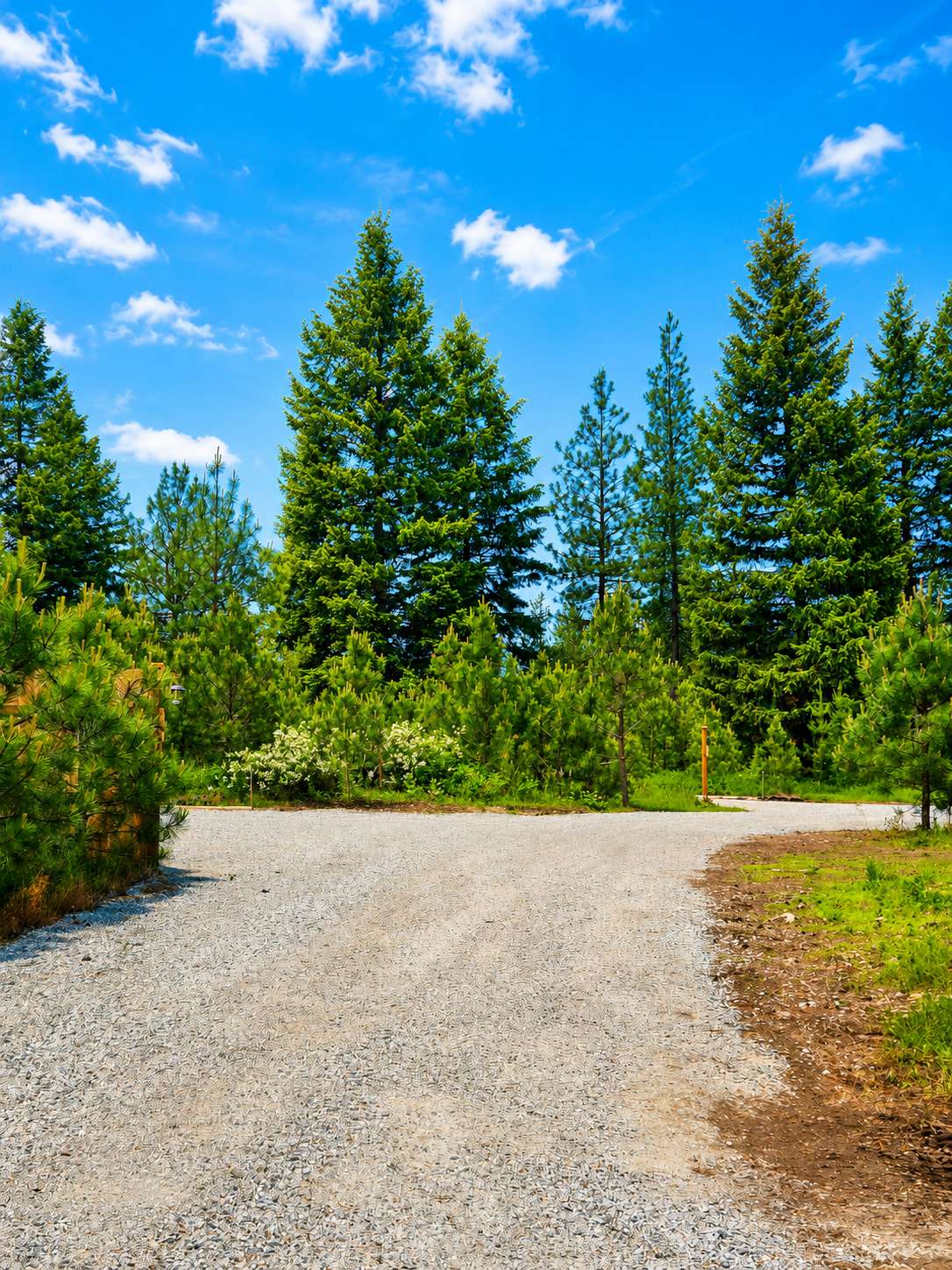 View as you enter the campground from Sylvan Road. Site 1 on your left and Site 2 straight ahead. 