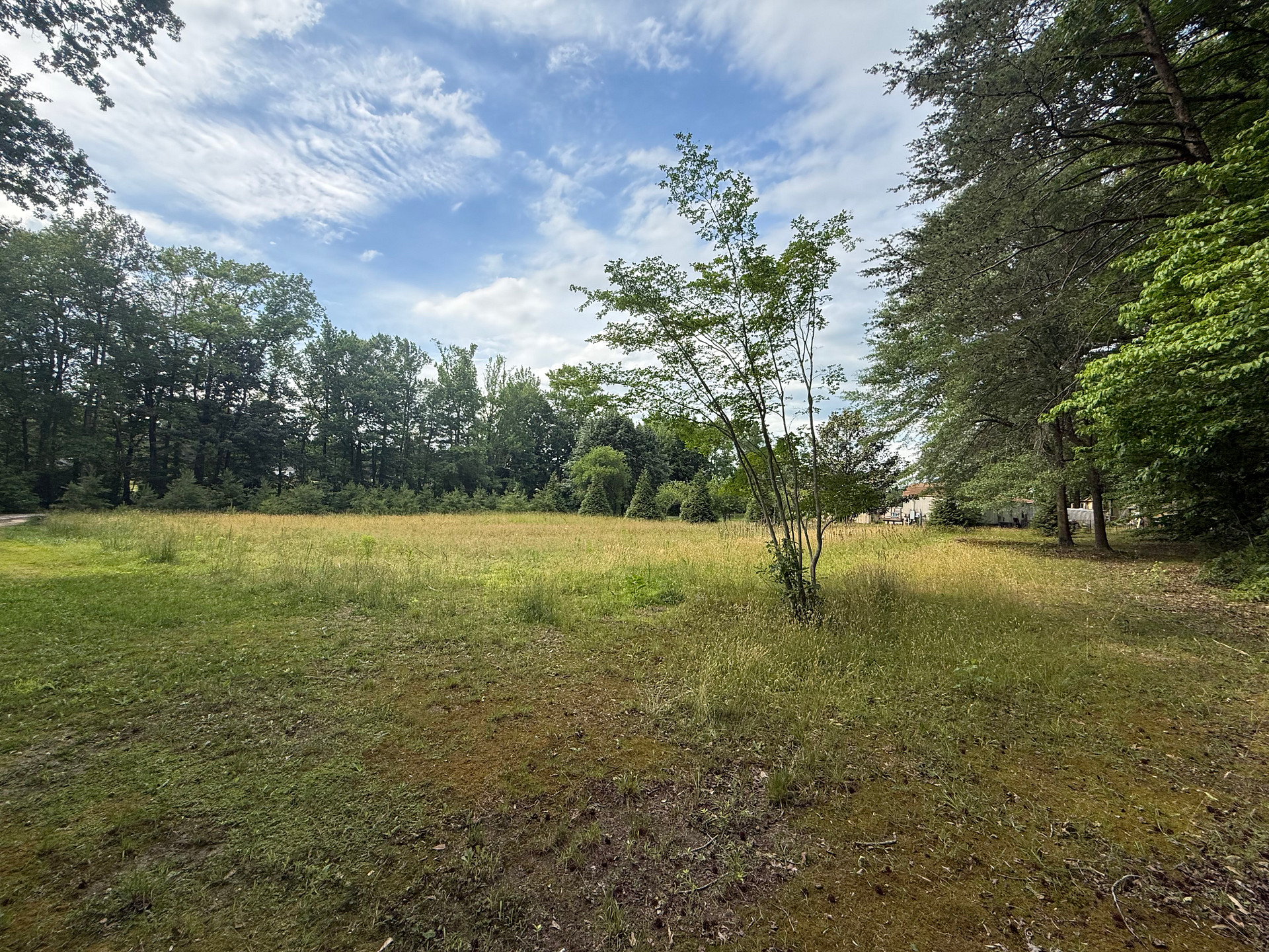 Beavers Lodge