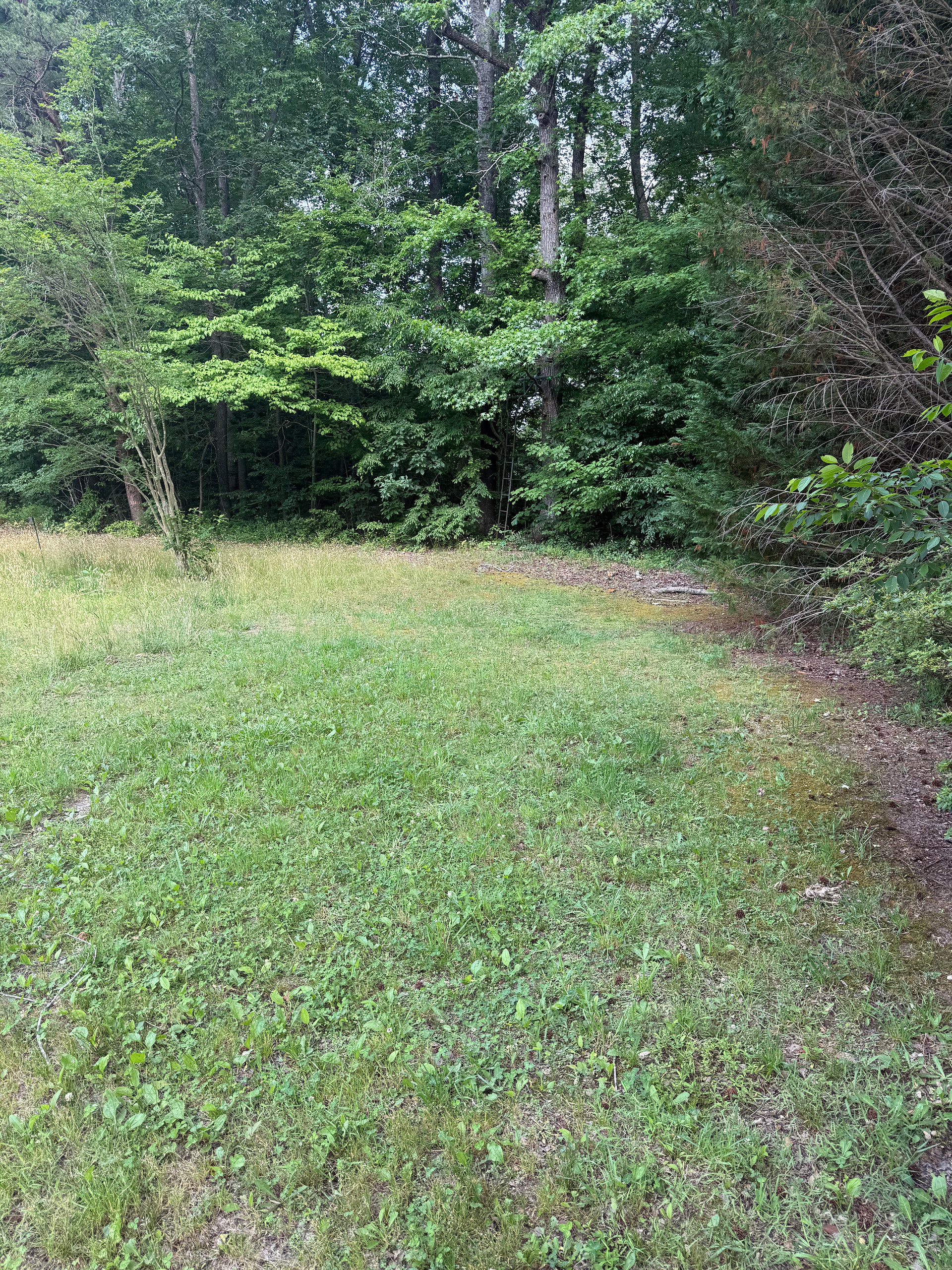 Beavers Lodge