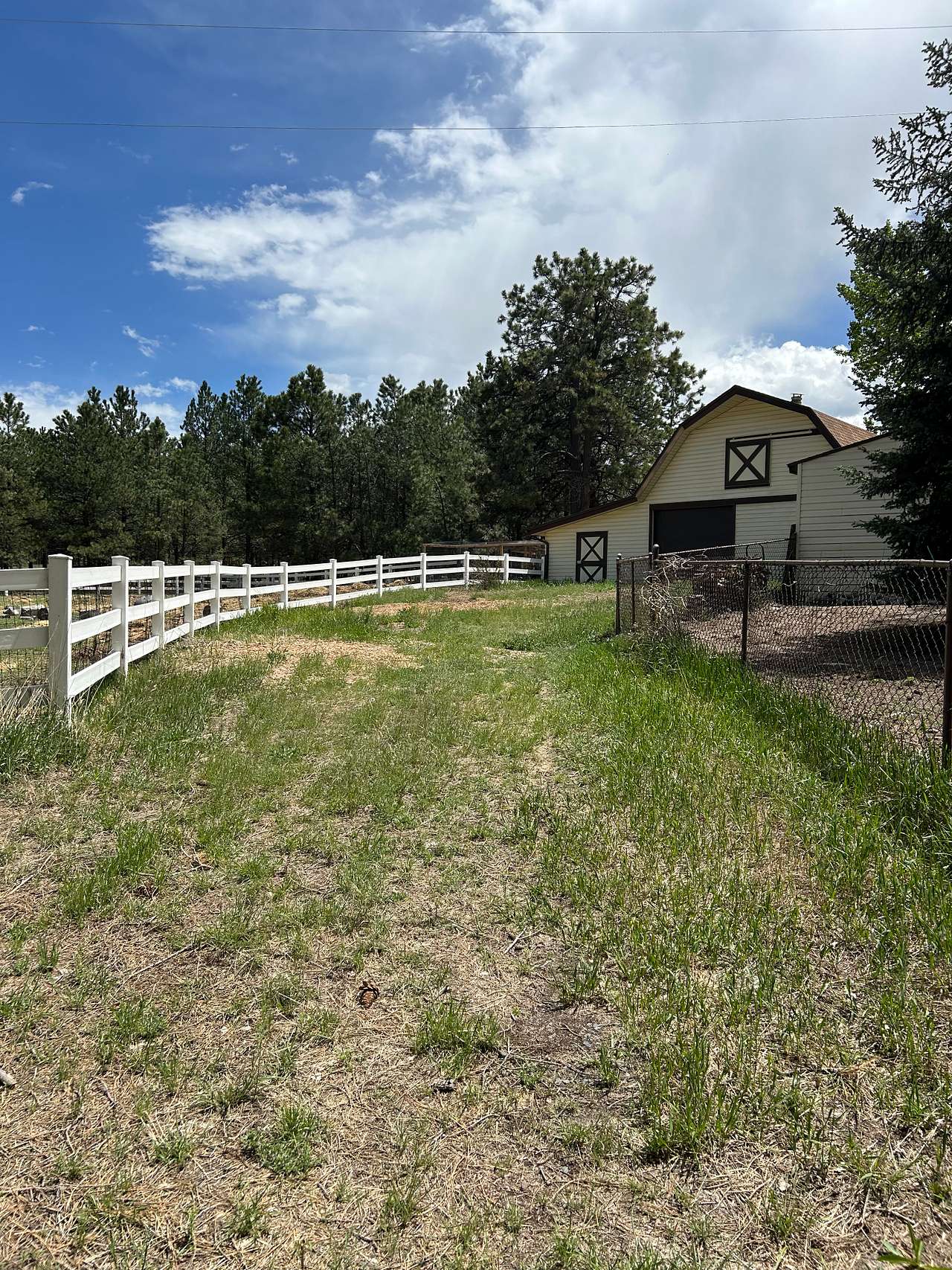 Damselfly Farms