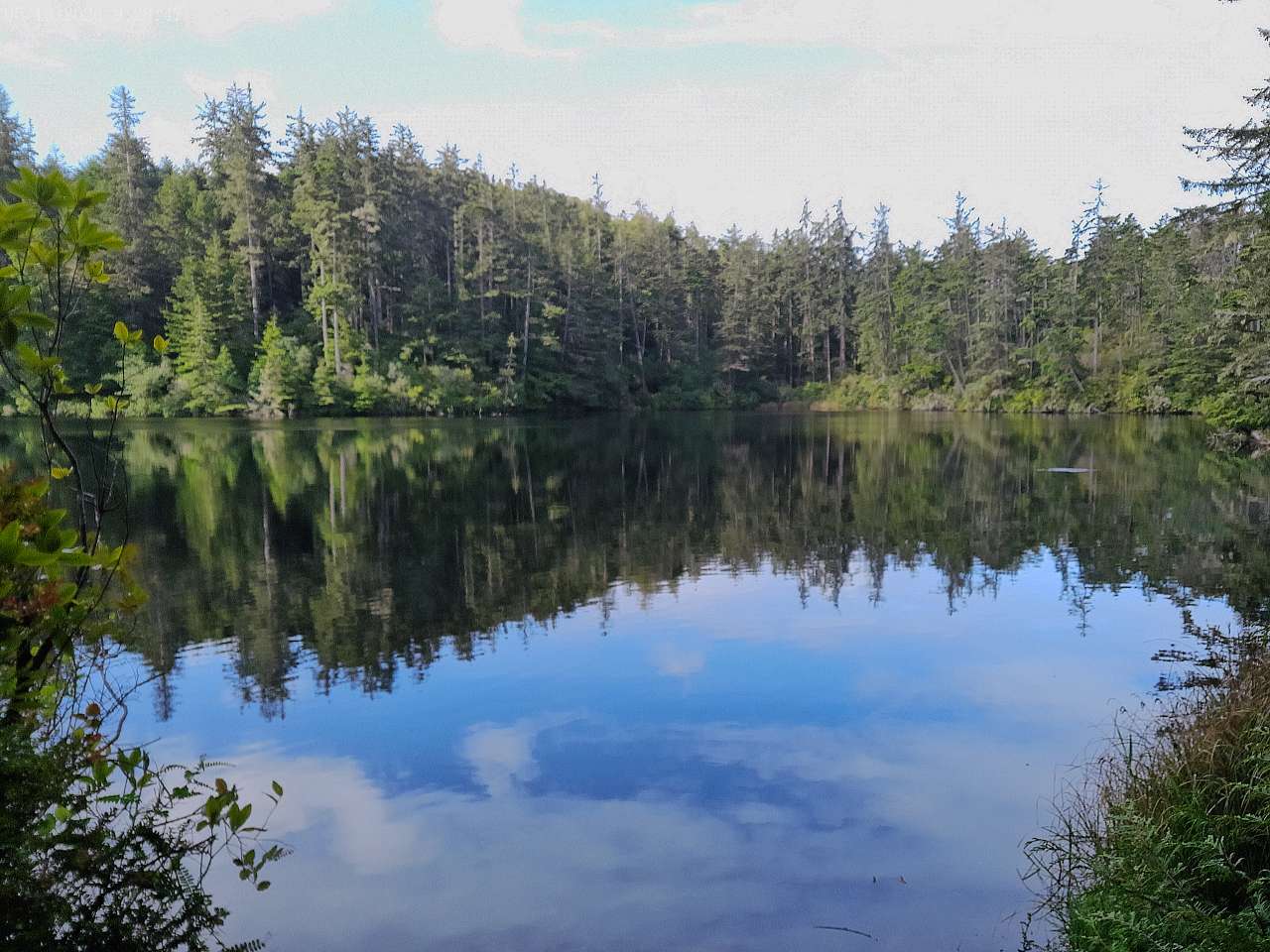 Umpqua Lighthouse Campground