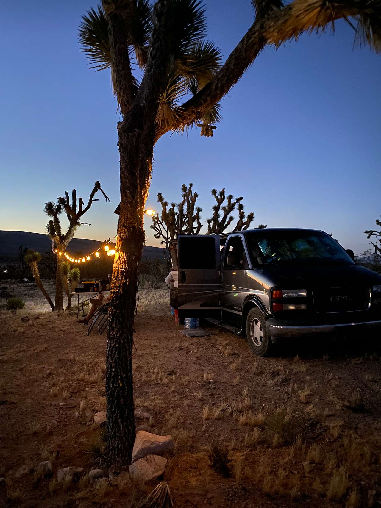 Coyote Loco