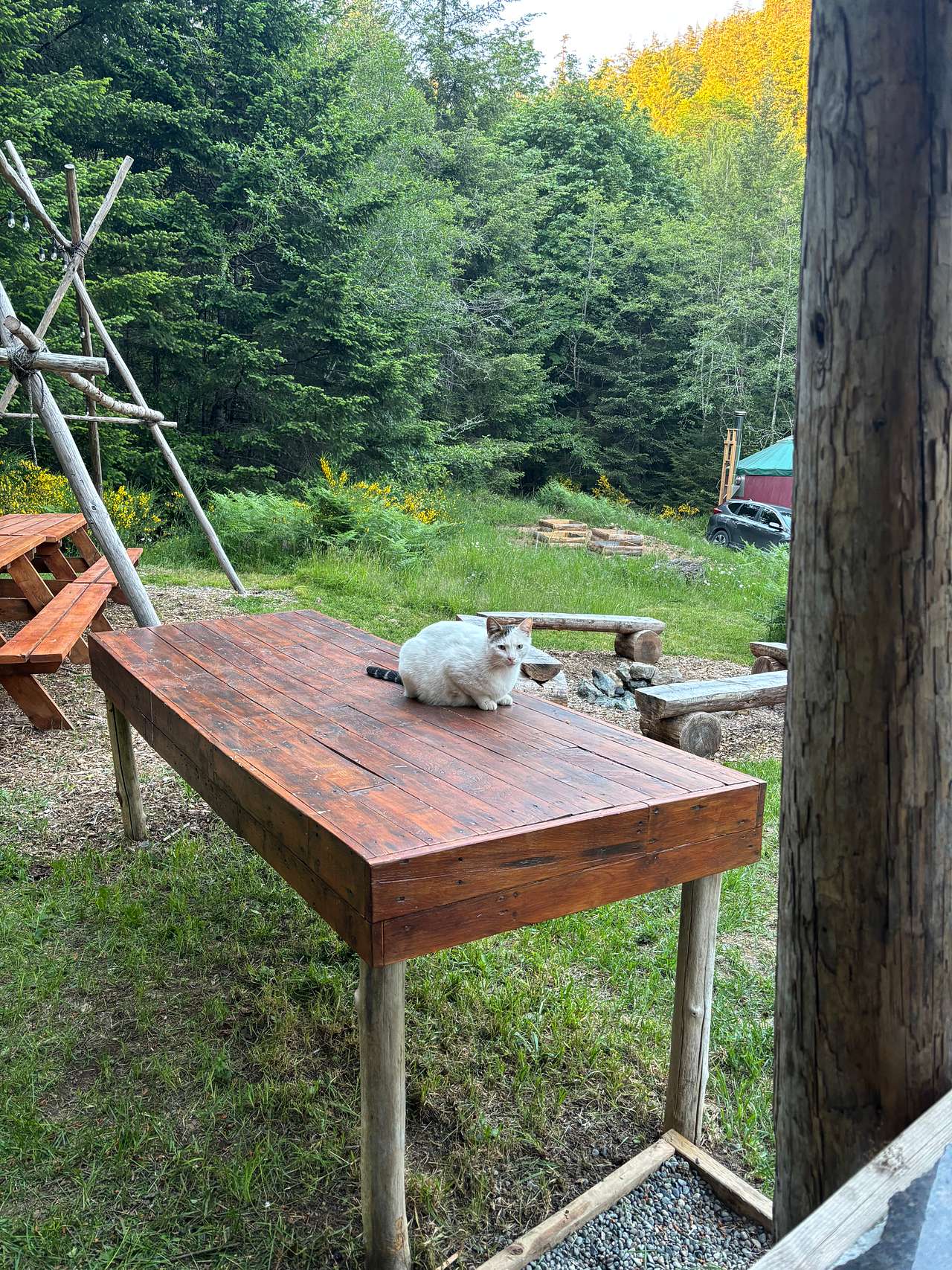 Nature’s Way Yurt Sanctuary