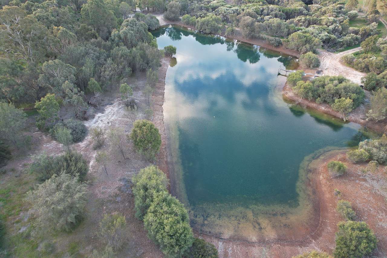 Bungarra Wines