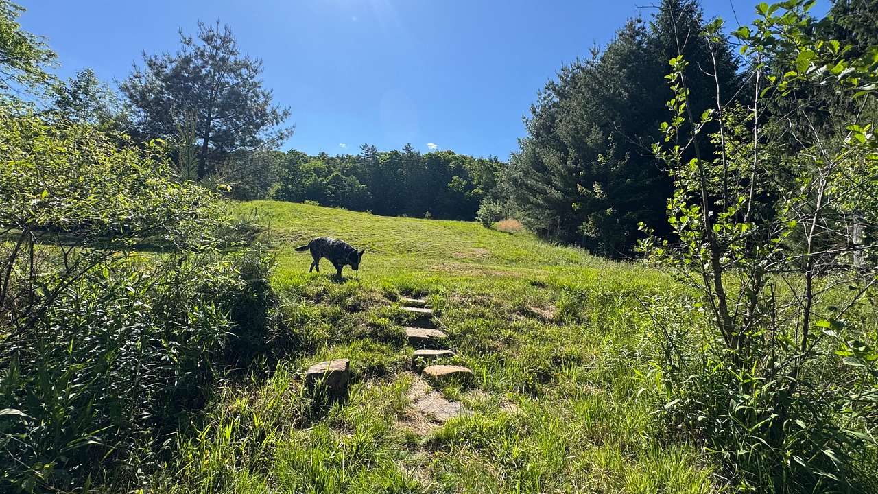 Homestead Overland Virginia