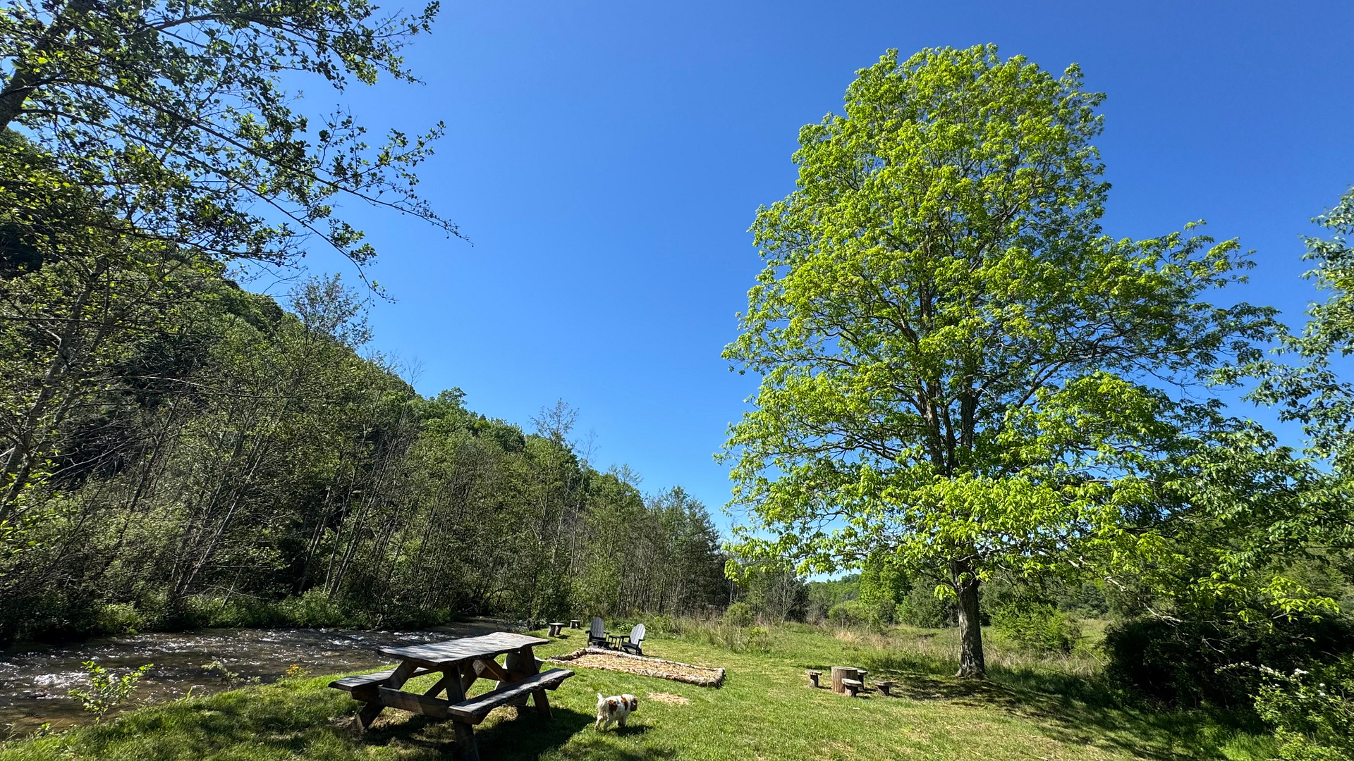 Homestead Overland Virginia