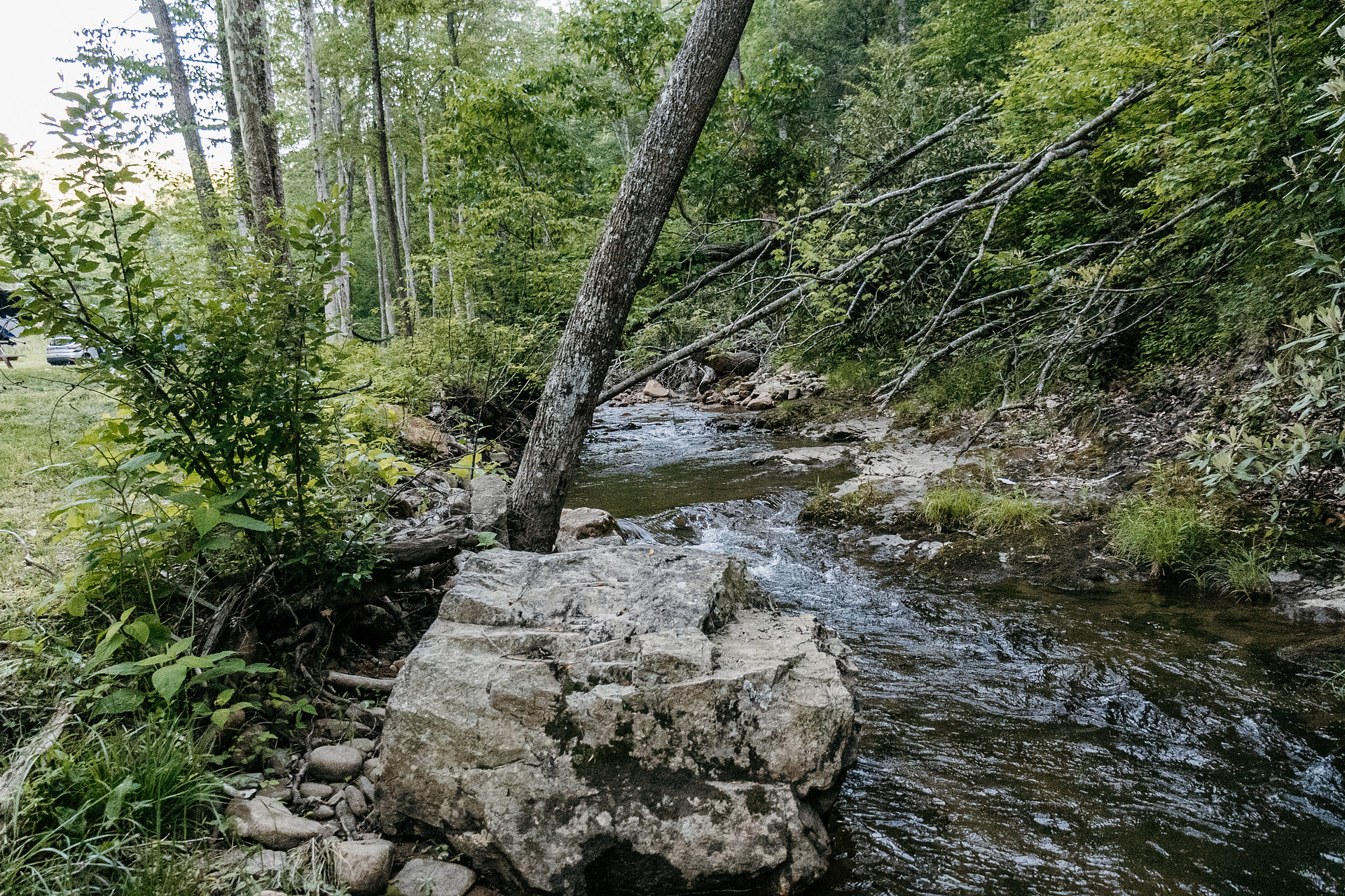 Camp Cressy Creek