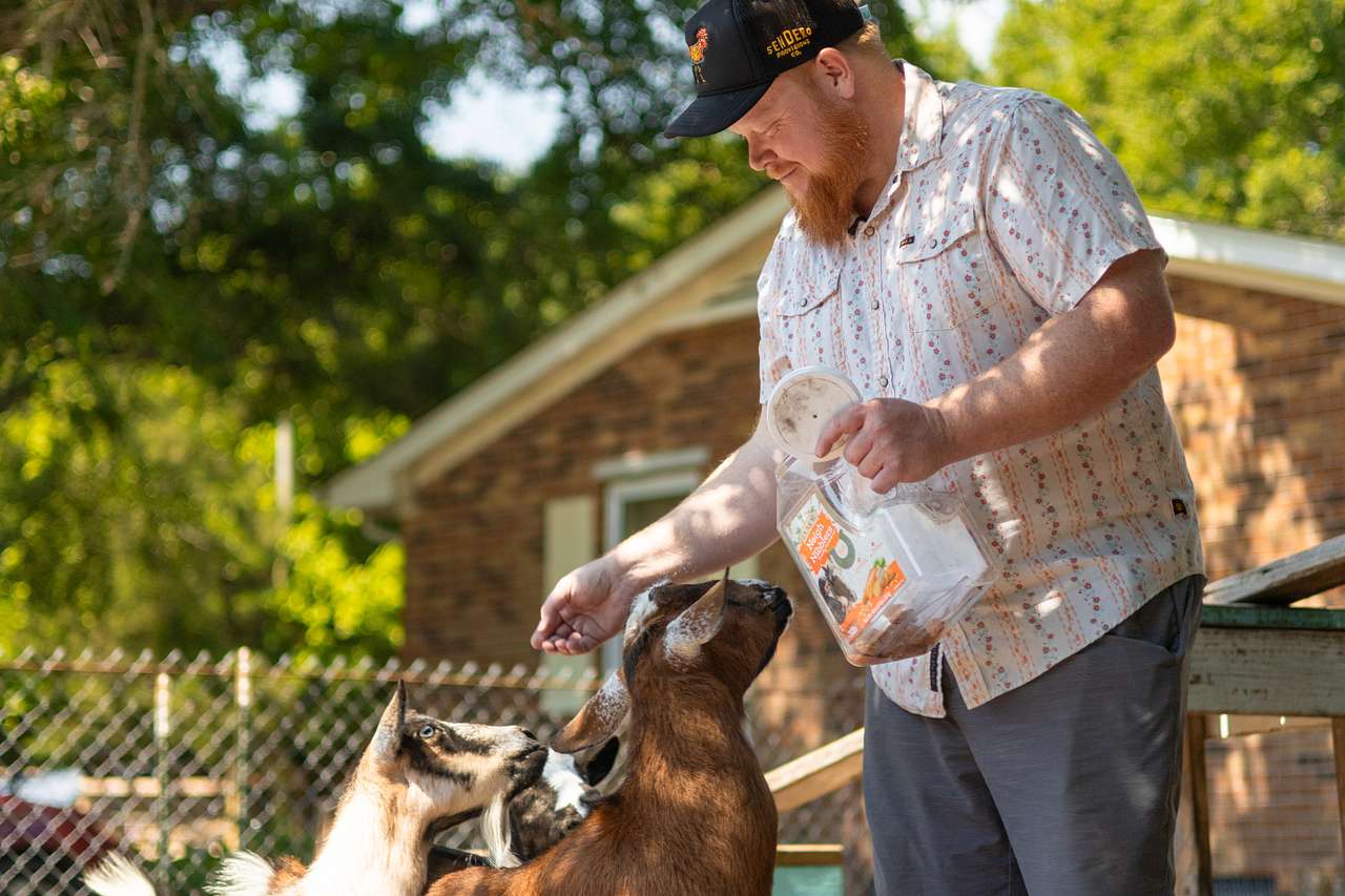 Live Oaks Farm