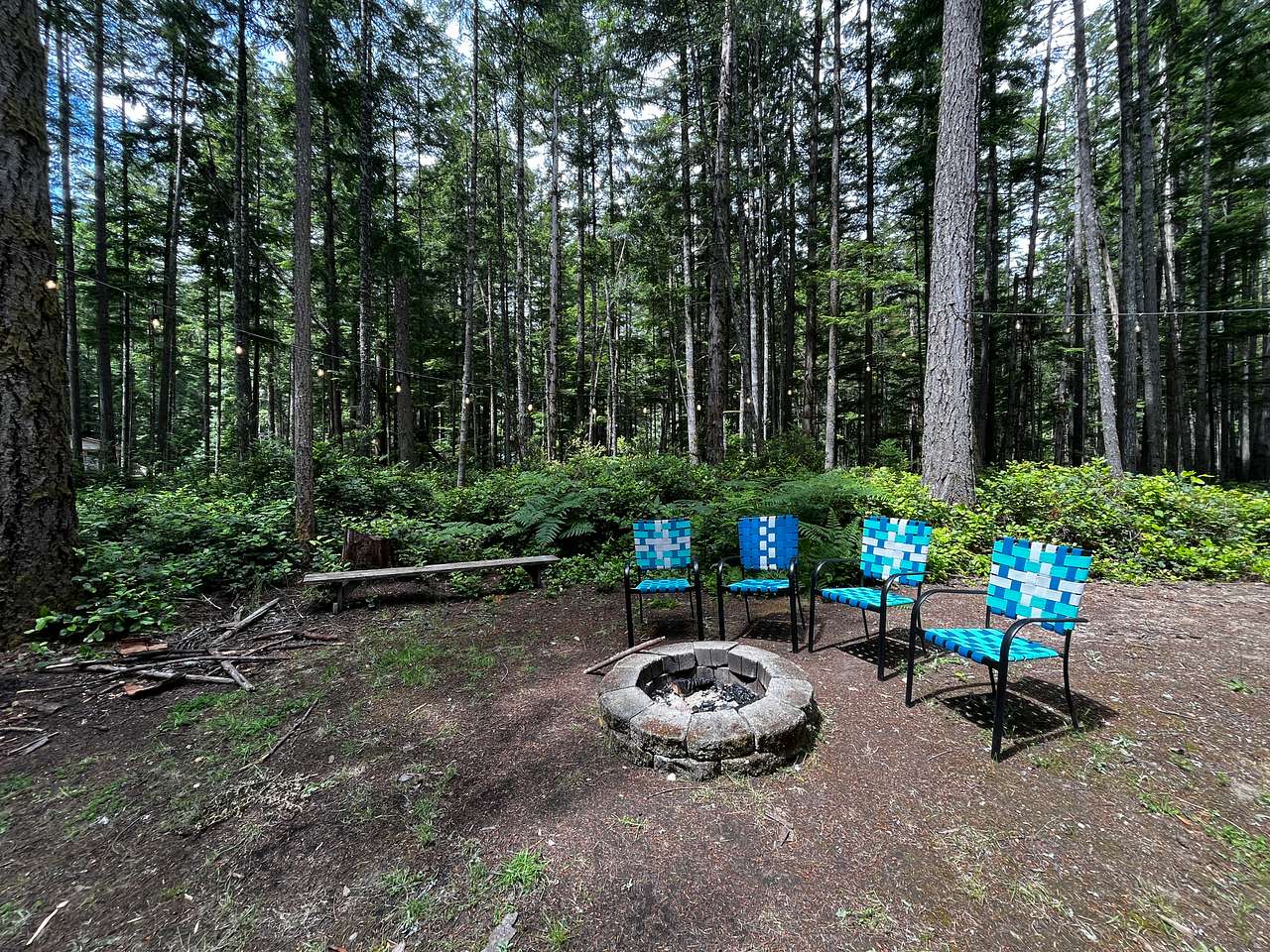 Salal Sanctuary