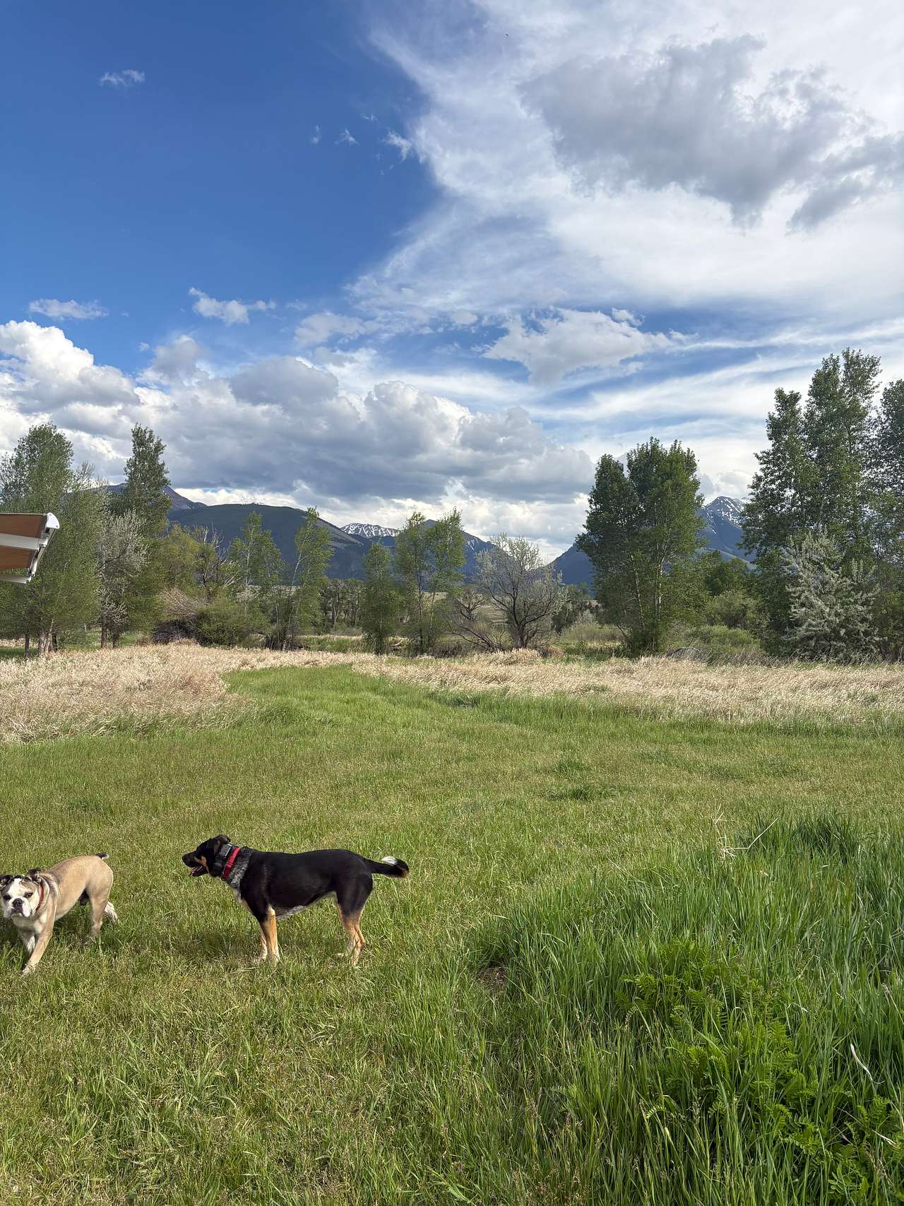 Montana Basecamp near Yellowstone