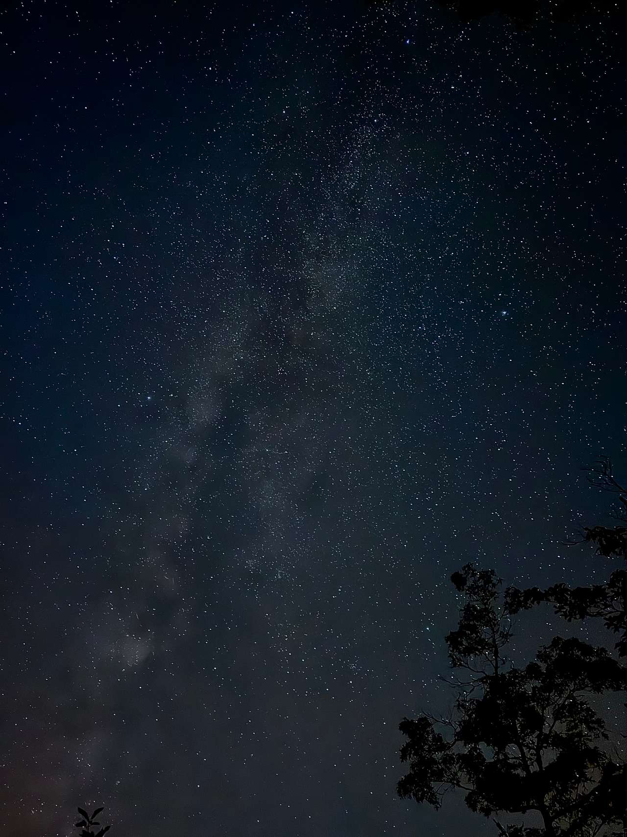 Night sky