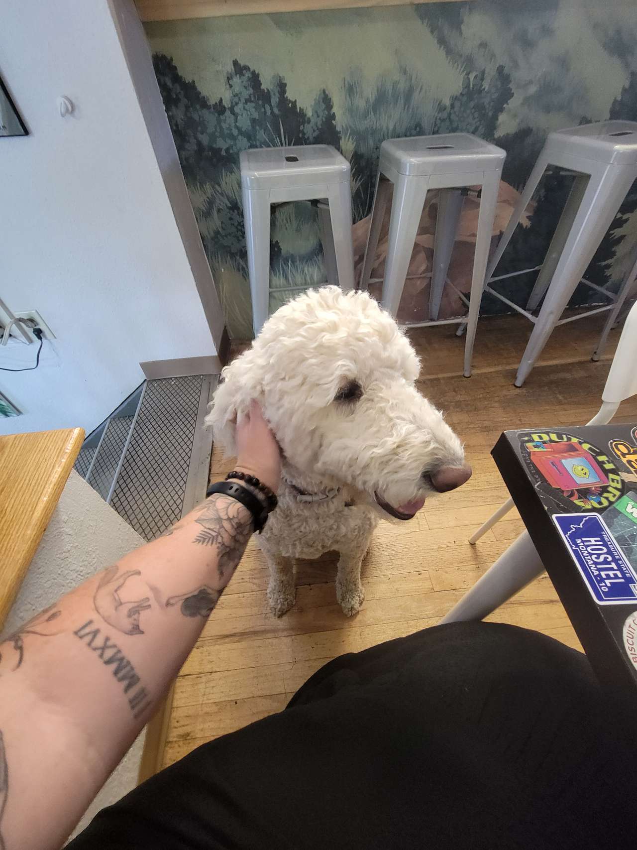 Sweet boss