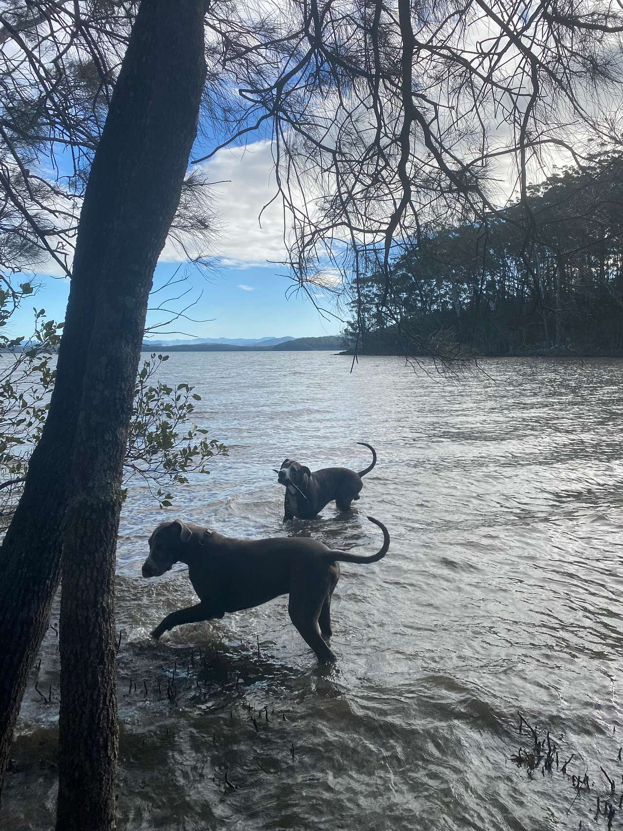 Queens lake