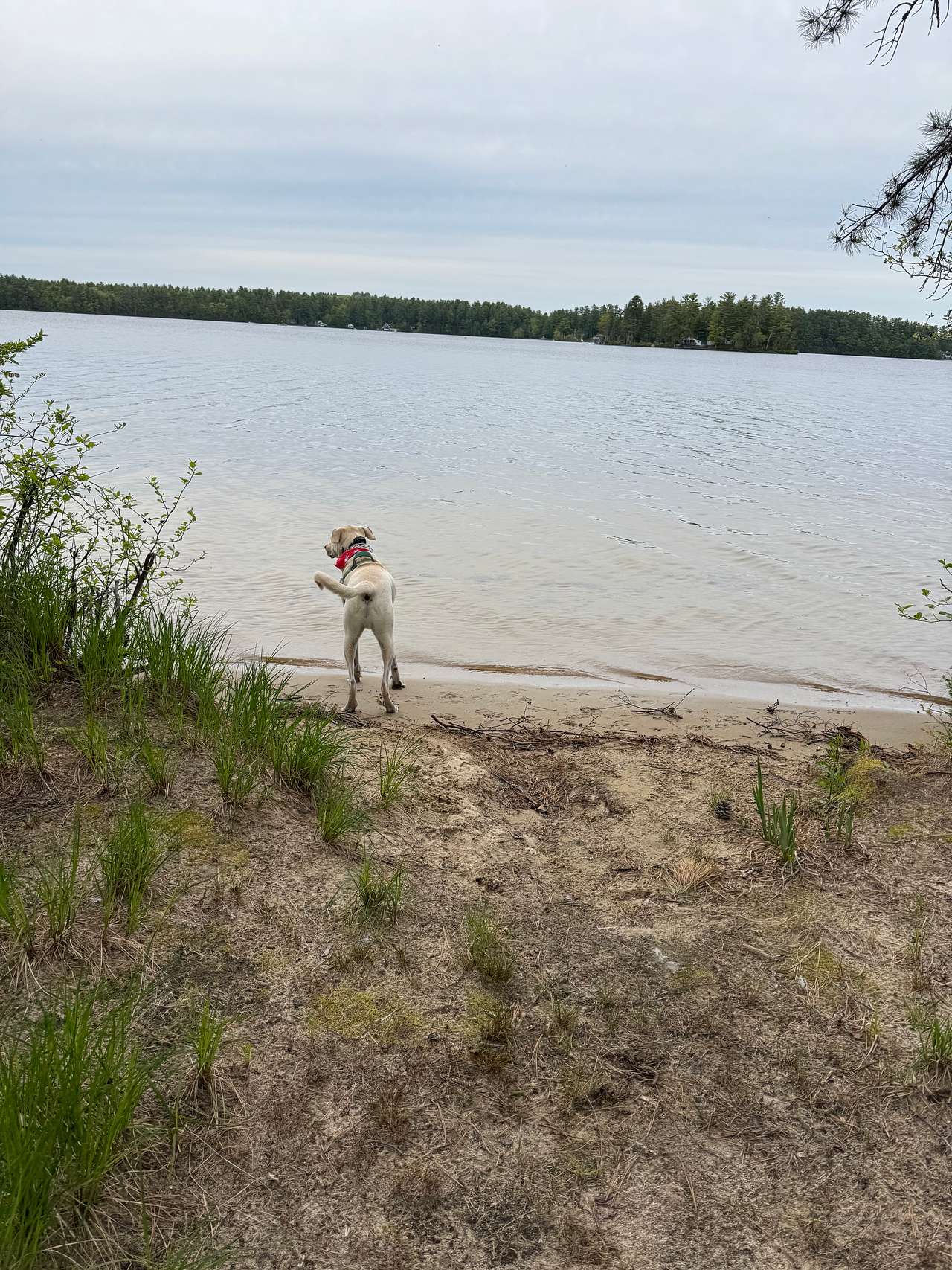 Island View At Kiwanis Beach