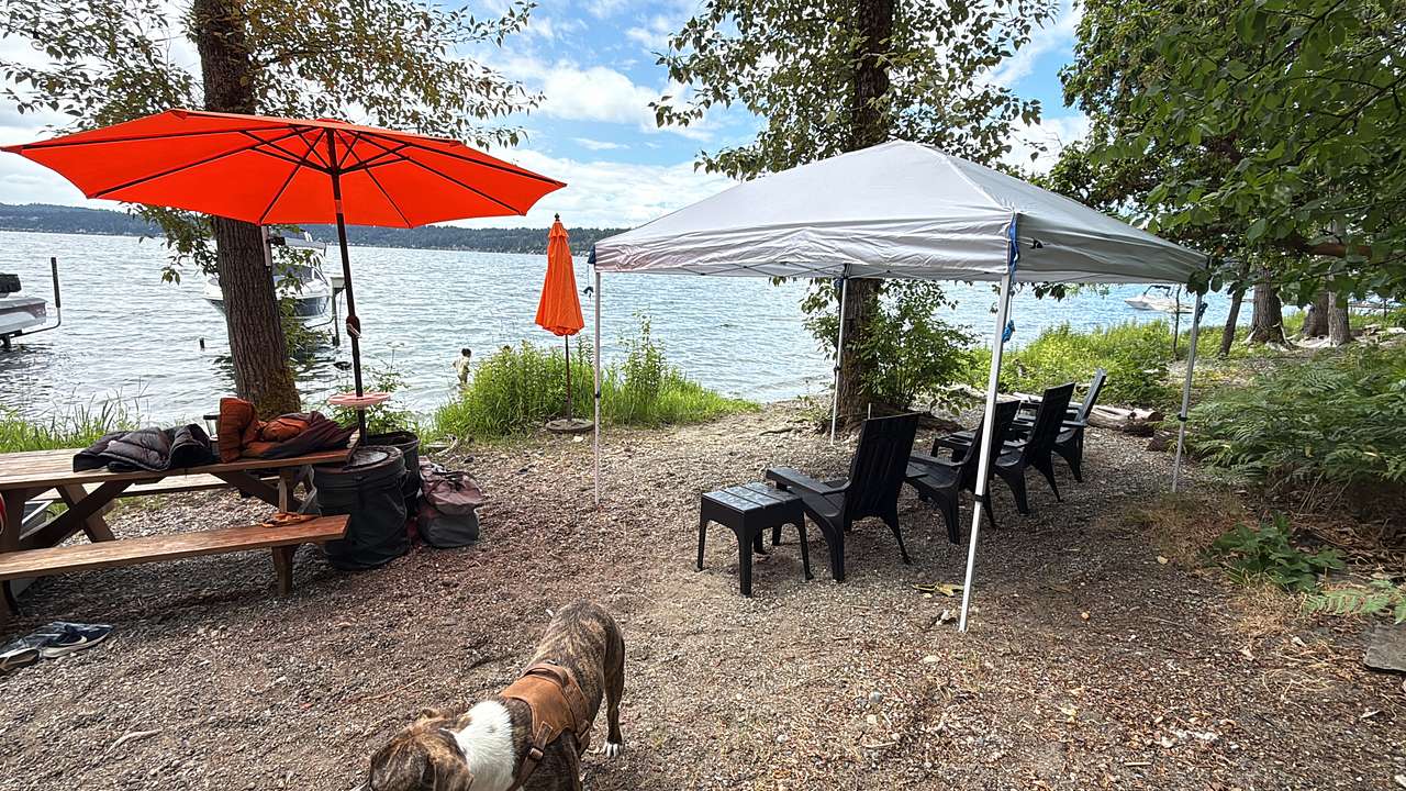 ELKS Beach