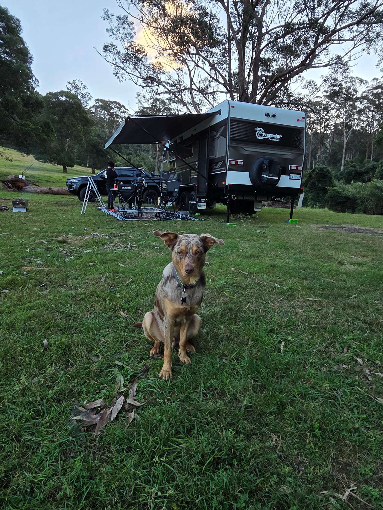 Mav approved. 