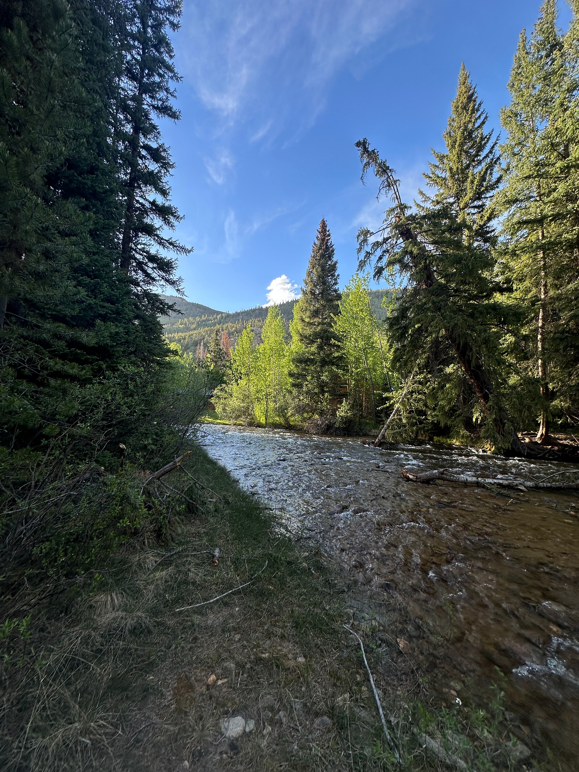 Creekside Camping