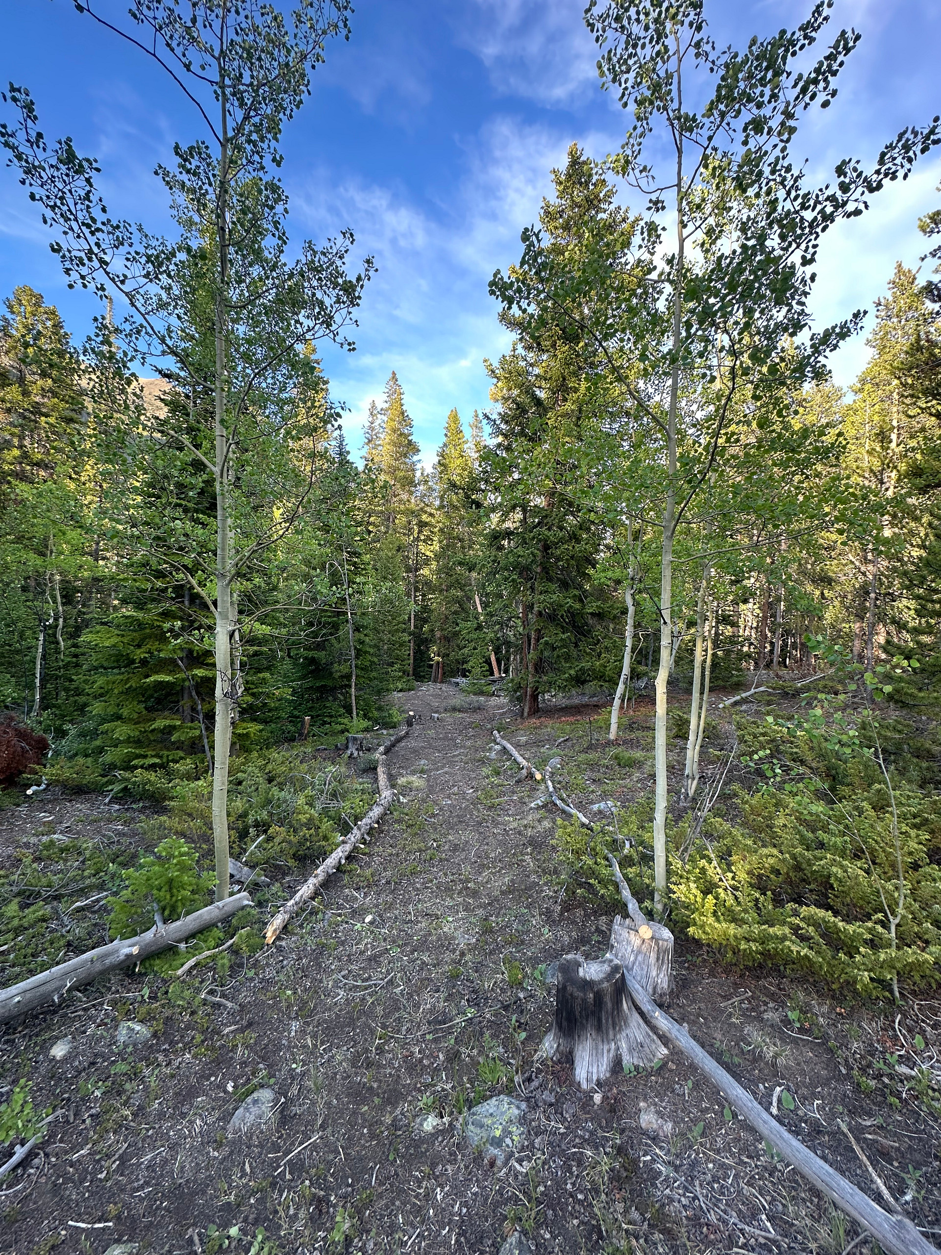 Creekside Camping