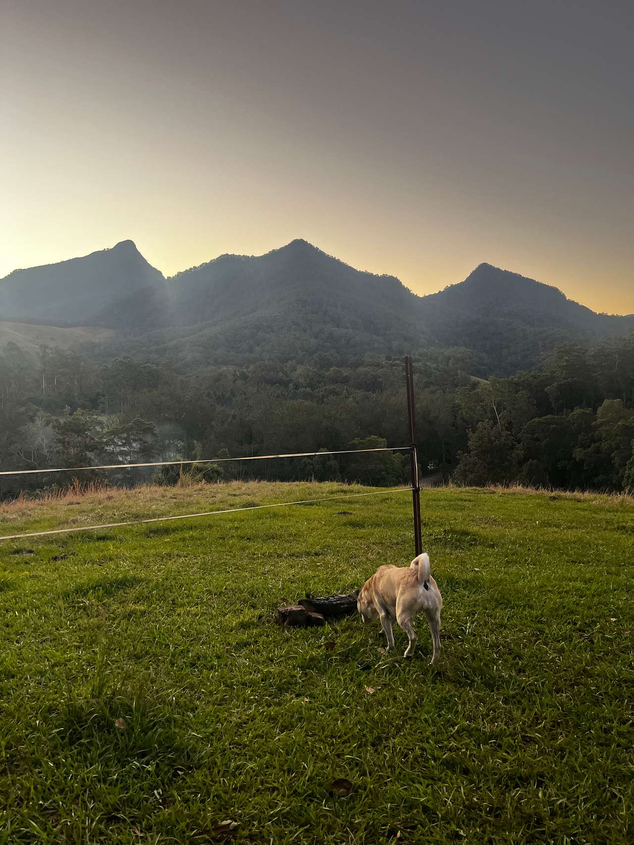 Hilltop View