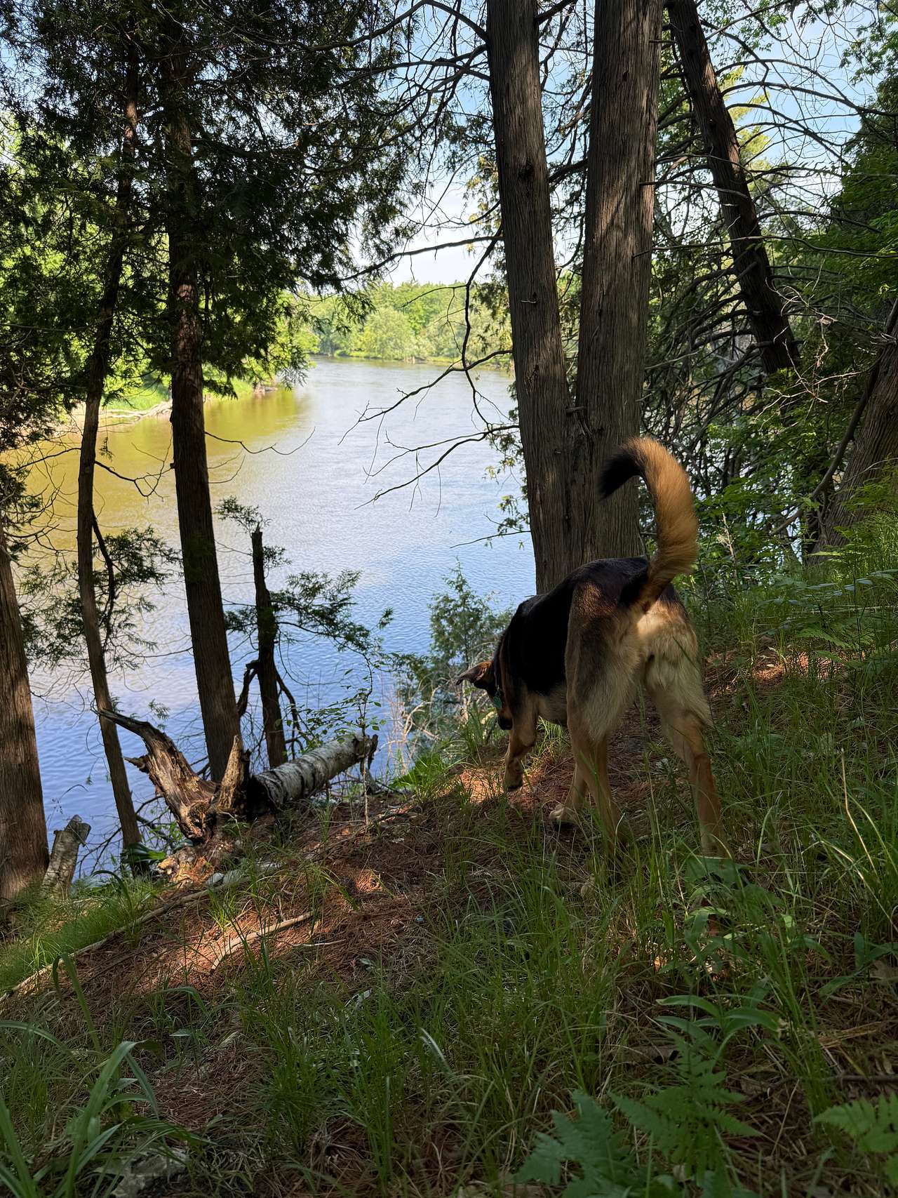 Gray's Riverside Camp