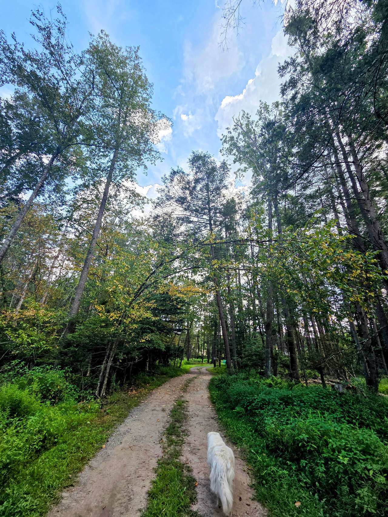 Calm Creek