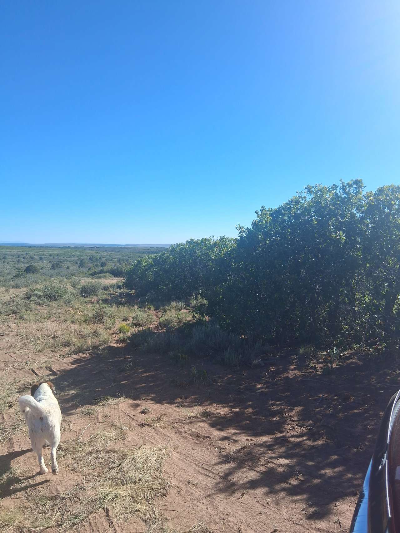 The Restoration Ranch