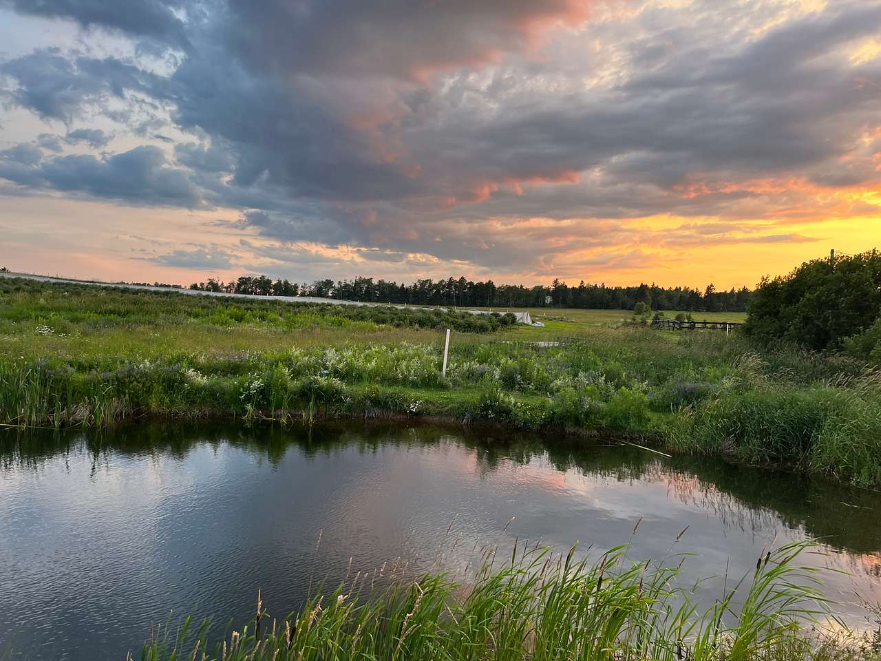 Spruce Lane Farms