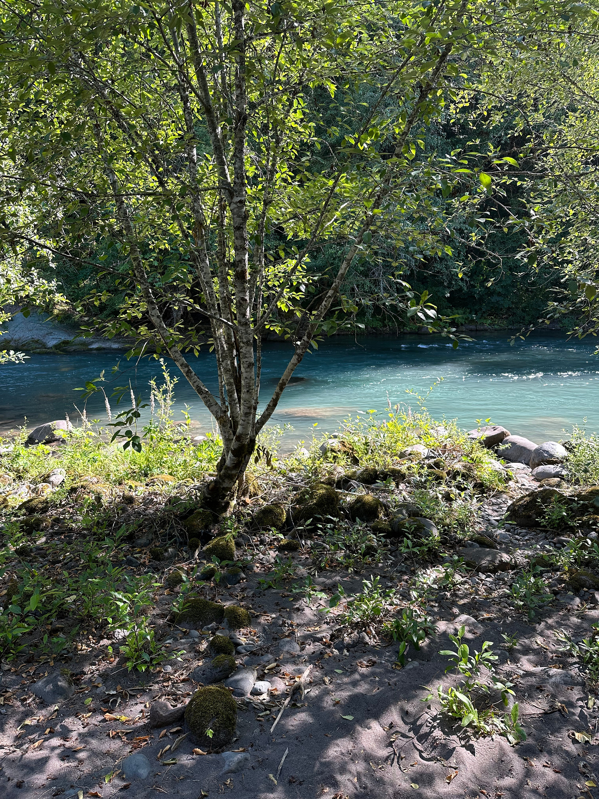 Private River access a short walk to the south! 