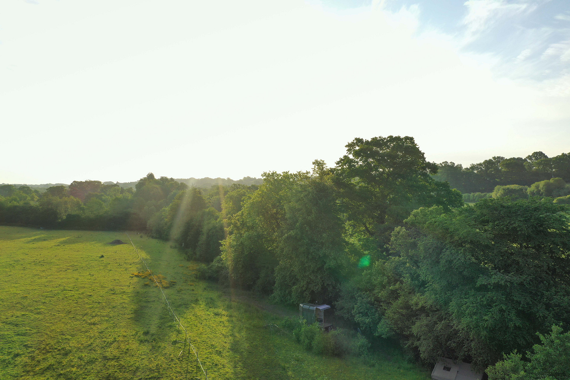 Wealderness