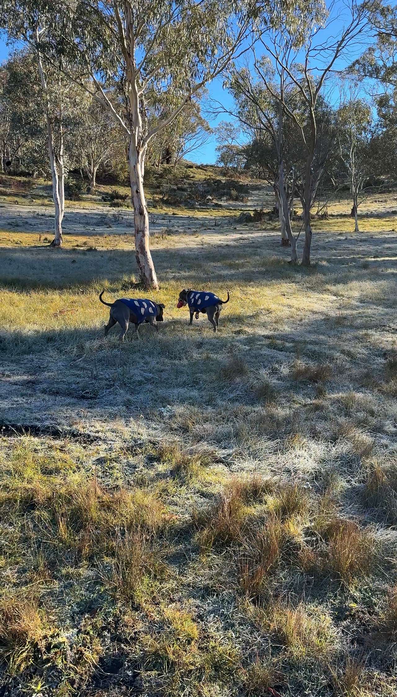Jacarry Rocks Retreat, Jindabyne