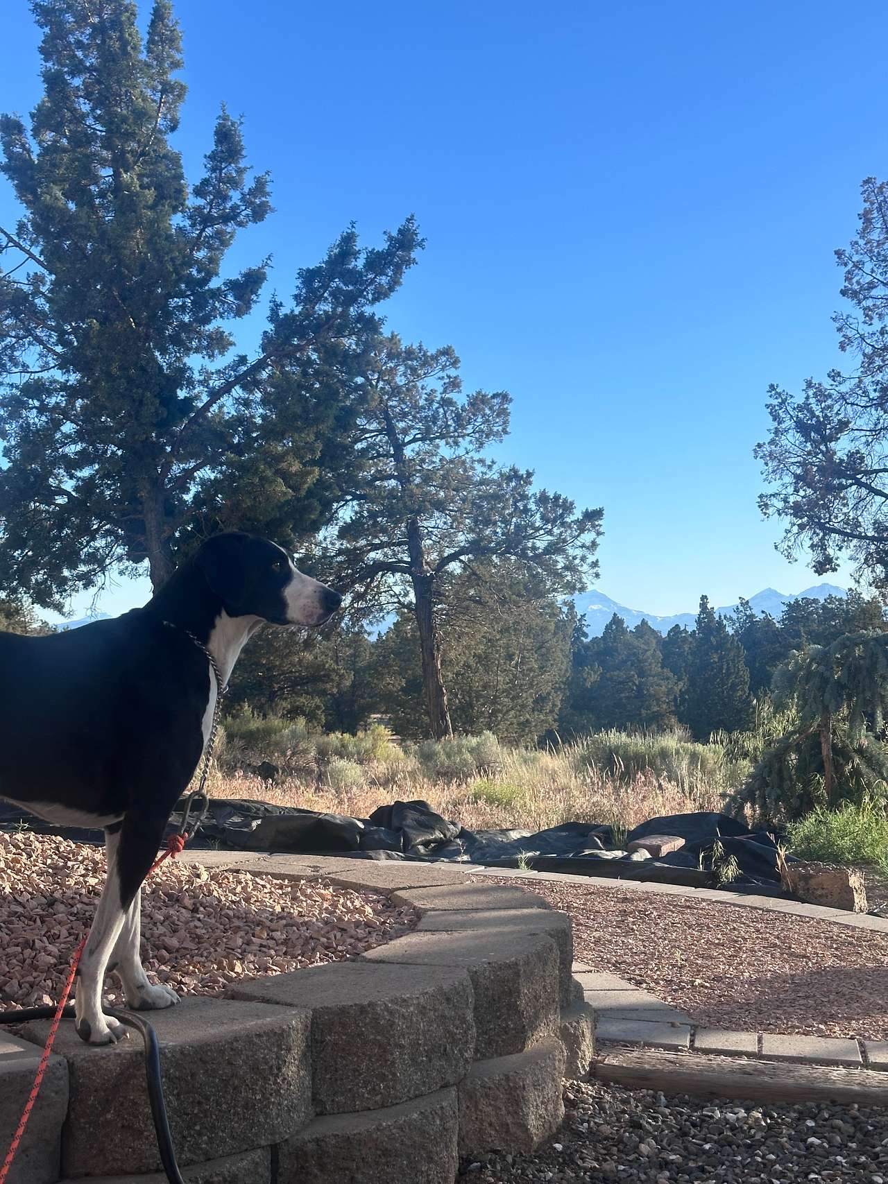 Mountain view escape