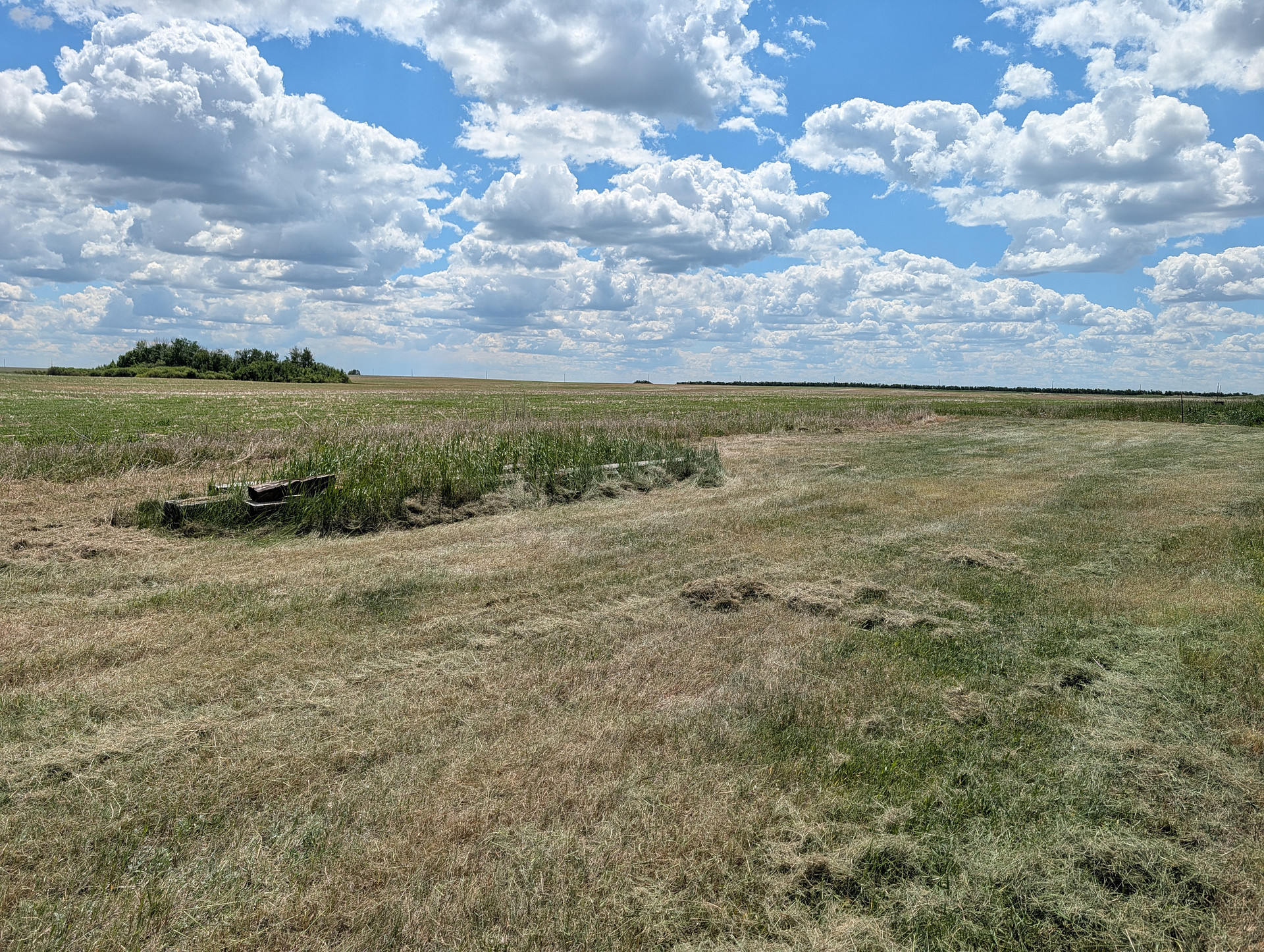 Edeburn Acres Farm