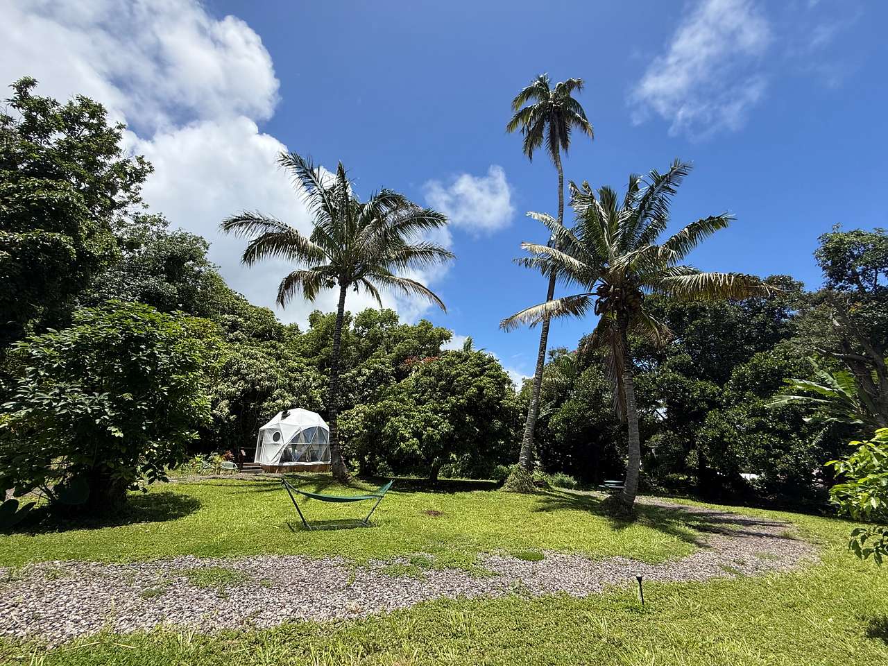 Mana Grove Domes