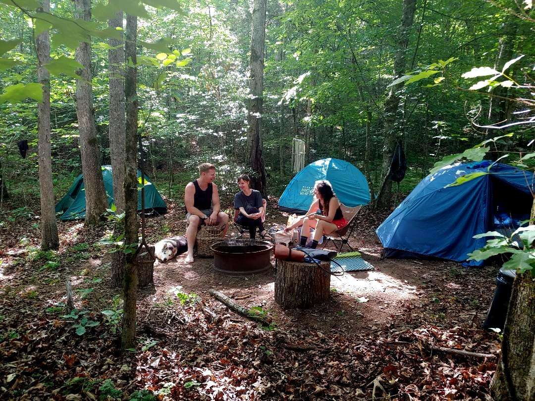 The Earth Center Camp