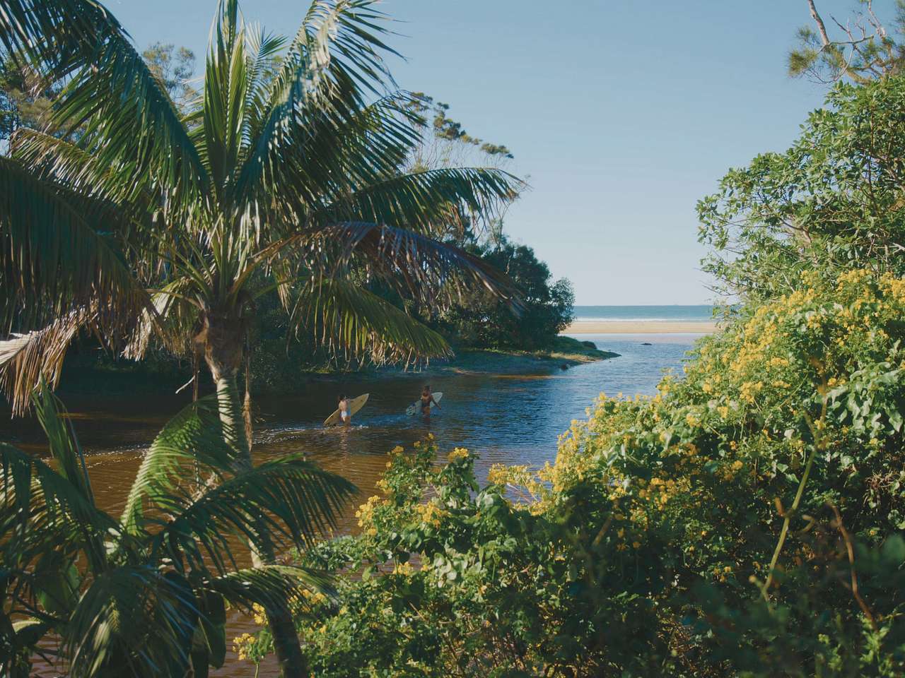 The Beach Arrawarra