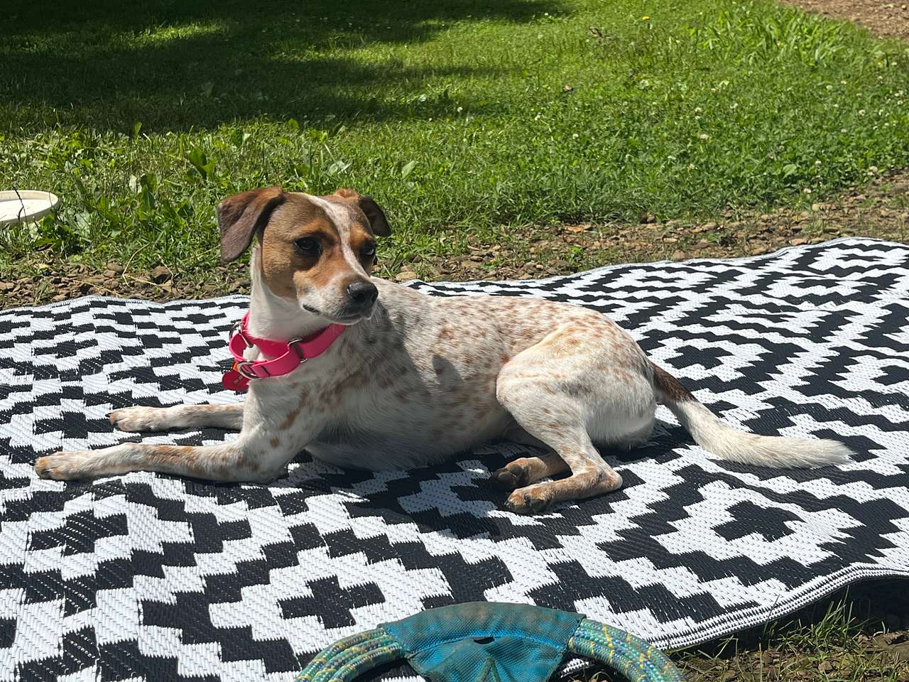 Sunbathing 