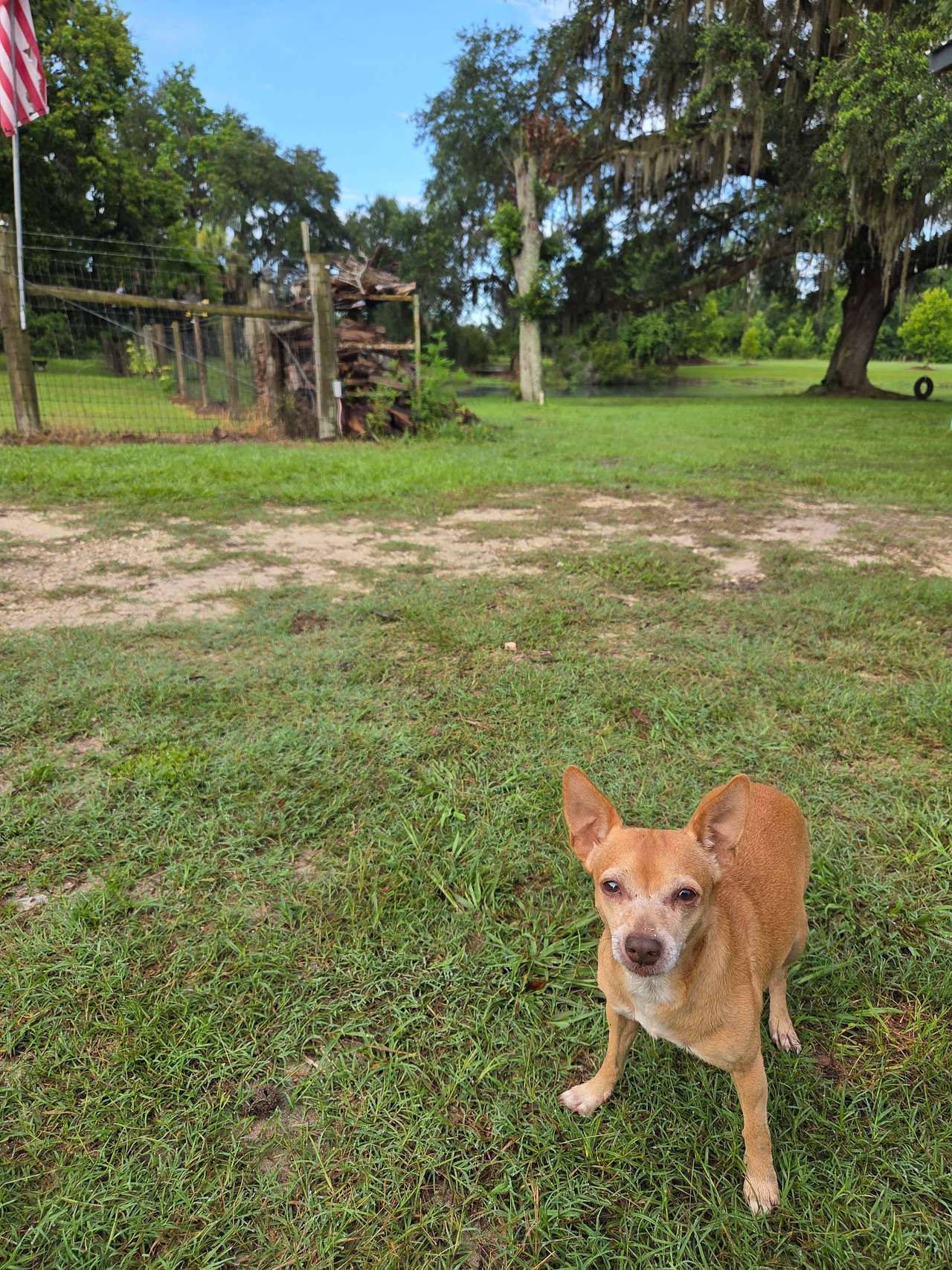 Our Peaceful farm near Alachua