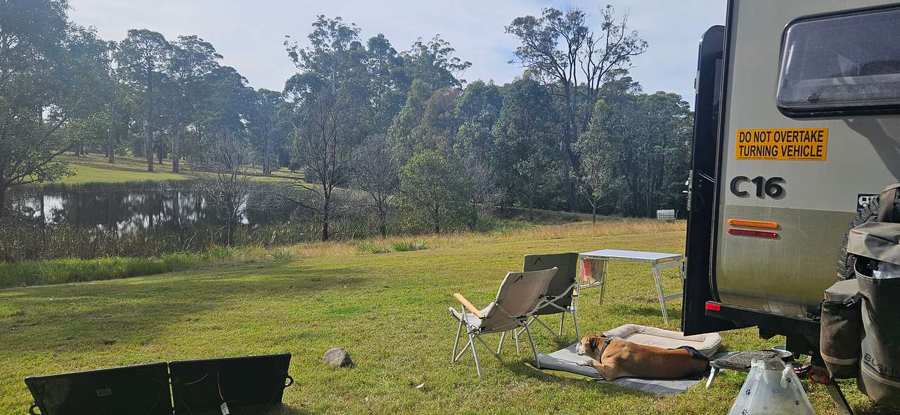 Just relaxing in the sun
