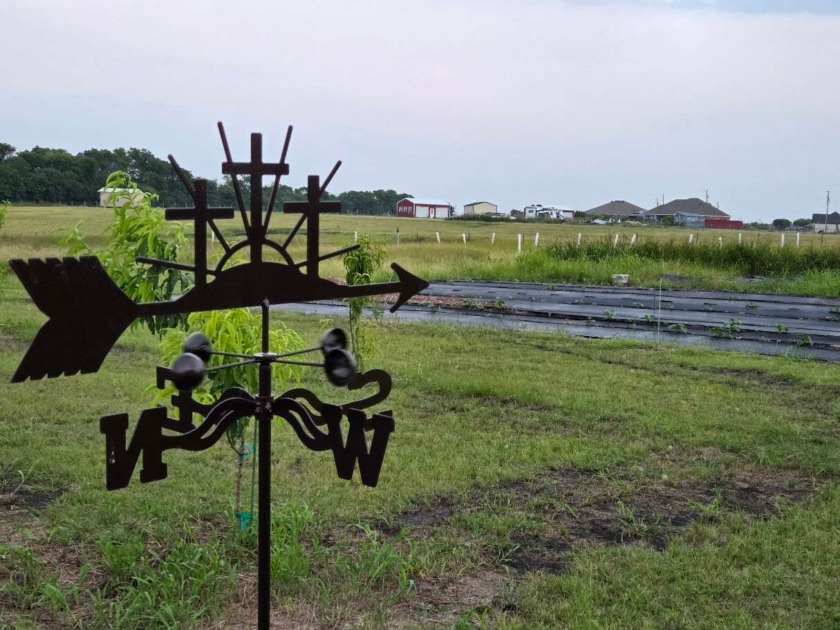 Grayson Farms Camping And Events