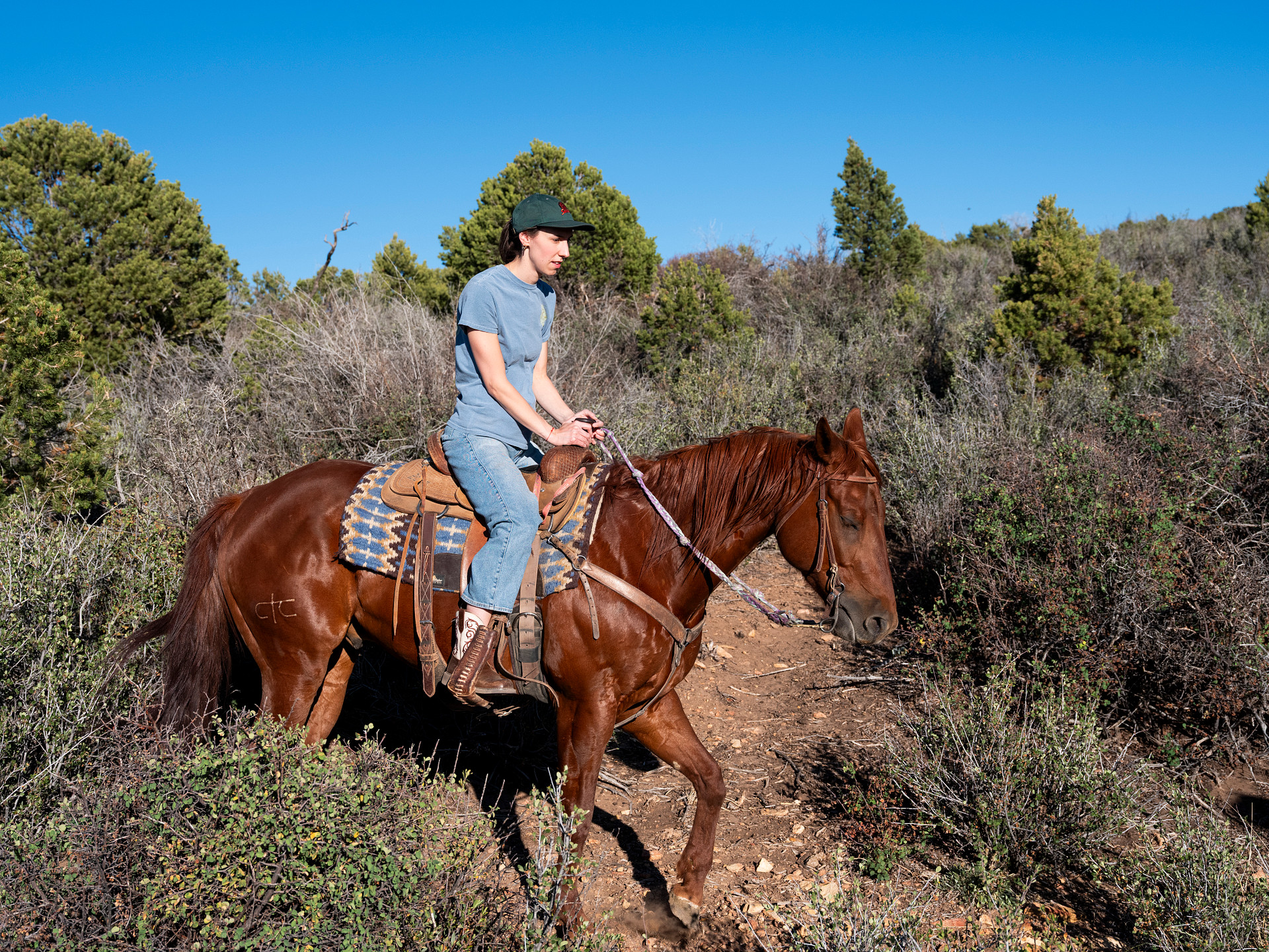Stephens Ranch