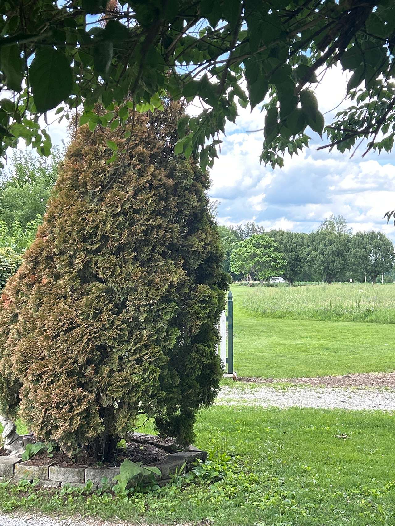 HDA Farm