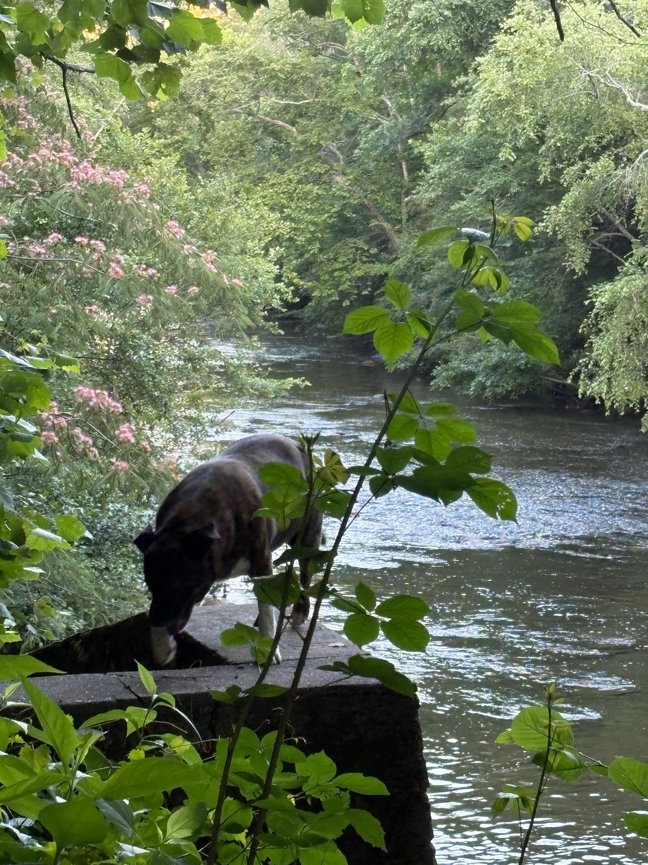 Emiko at the Dam