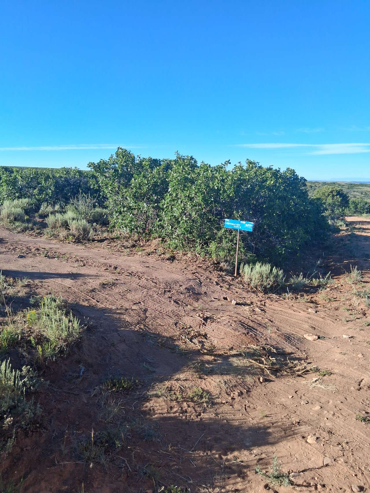 The Restoration Ranch