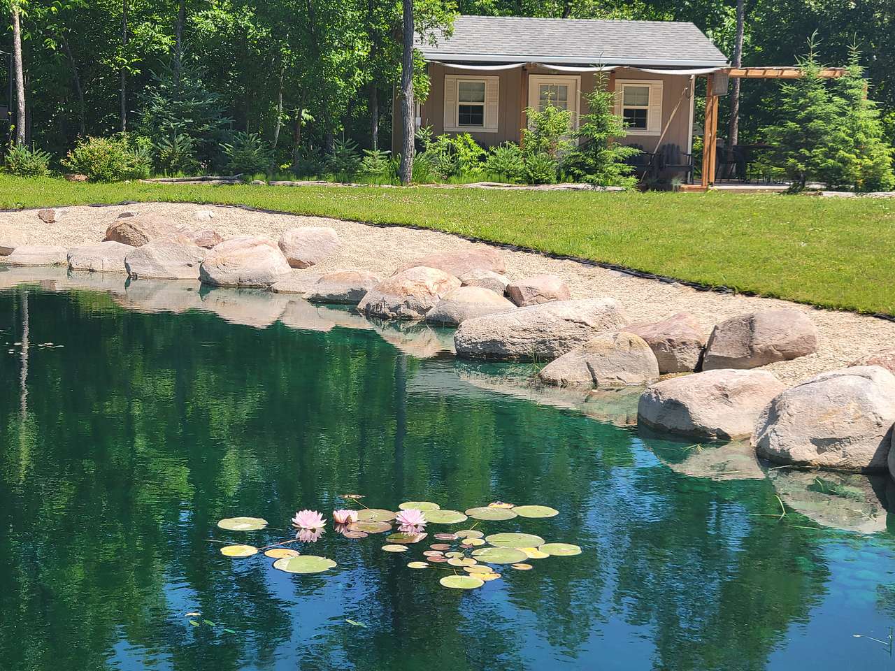 Tiny Lake Cabin