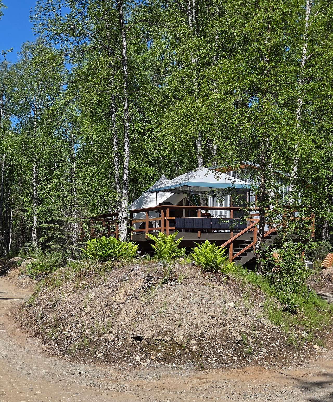 Tucked among the trees, this view is from the drive.